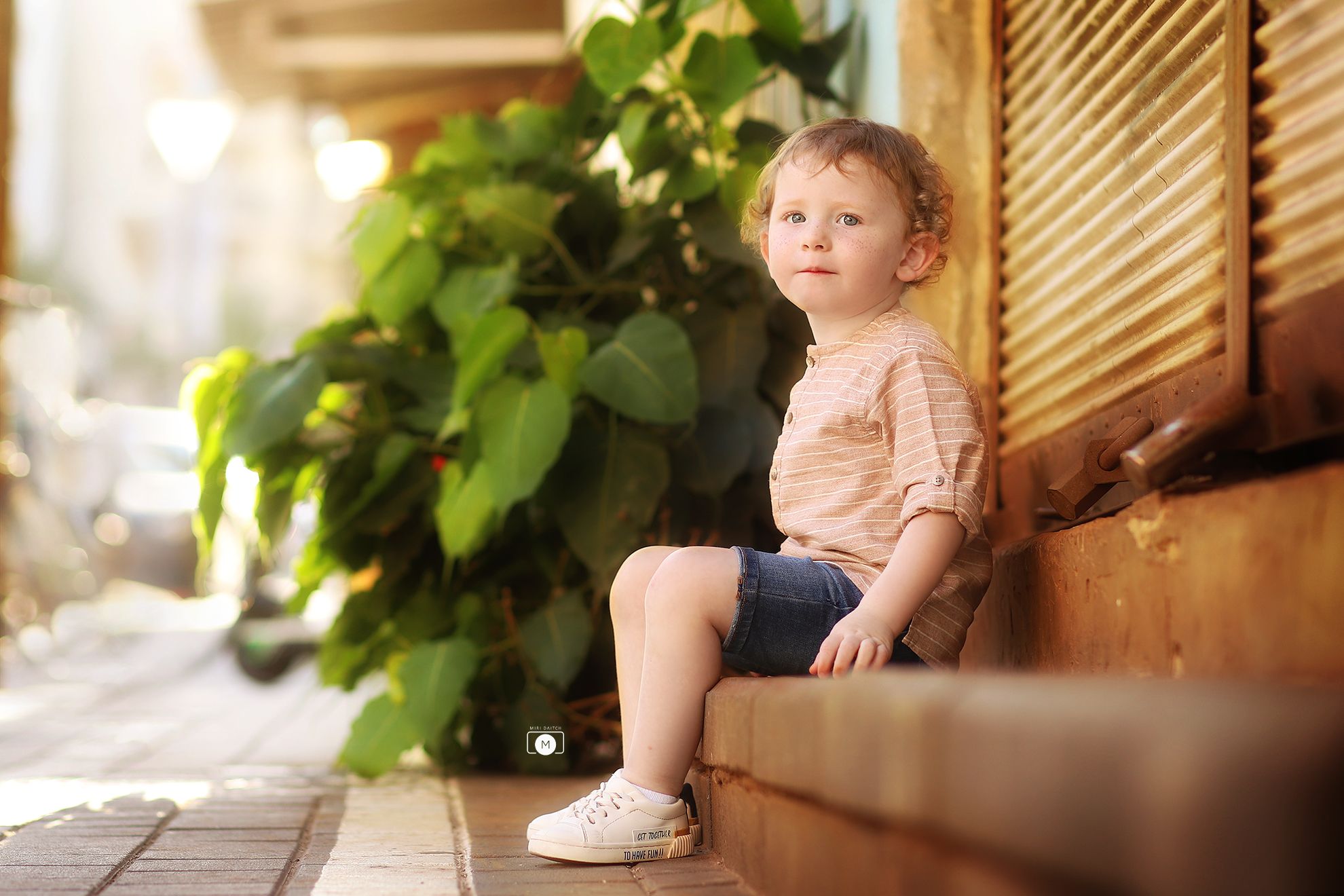 2מירי דייטש.jpg