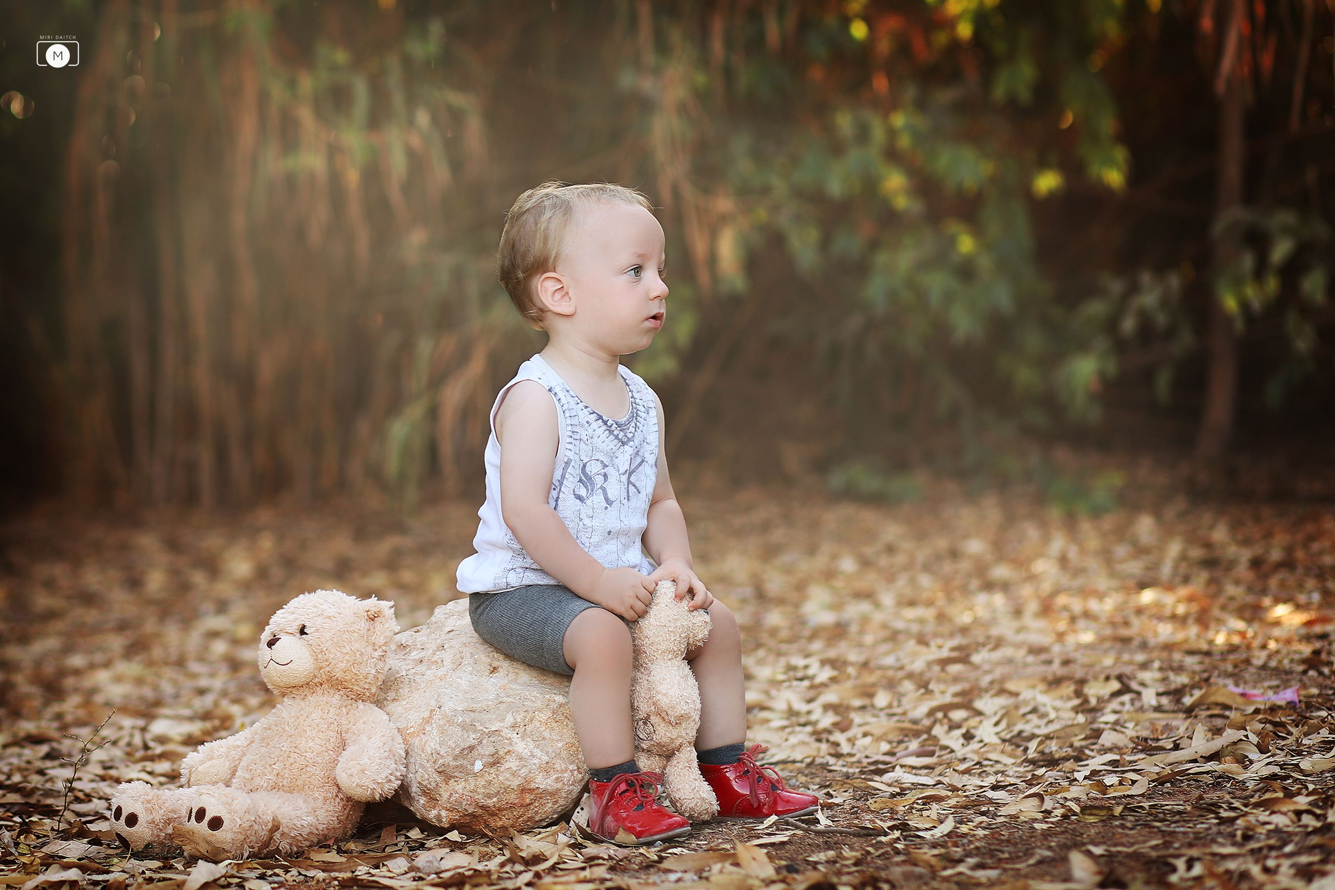 2מירי דייטש.jpg