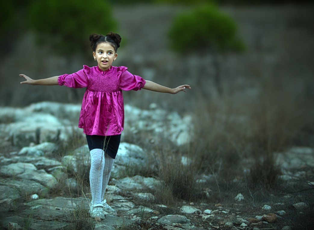 2צילום מסך 2023-11-14 155833.jpg