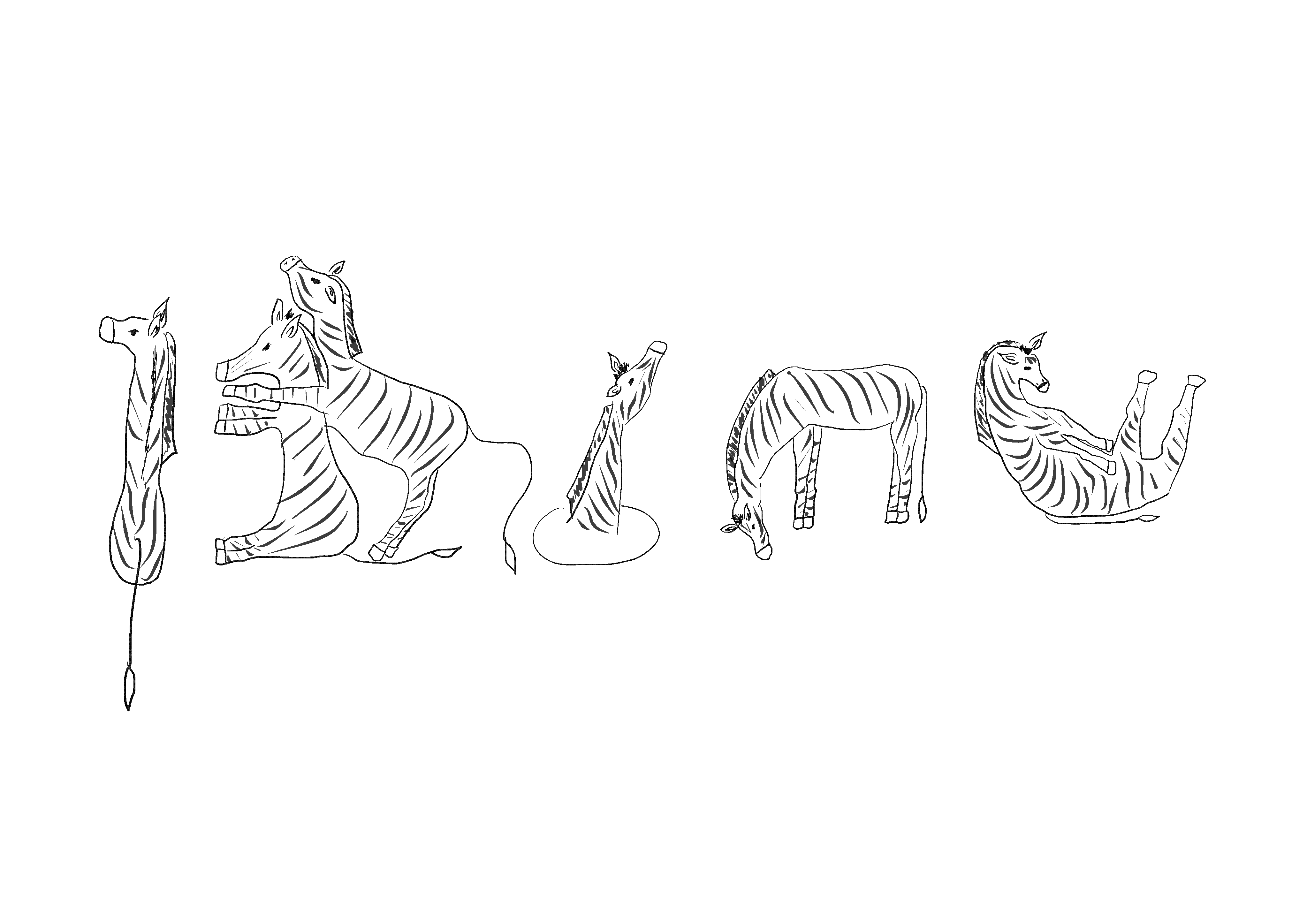 2שחור לבן.jpg