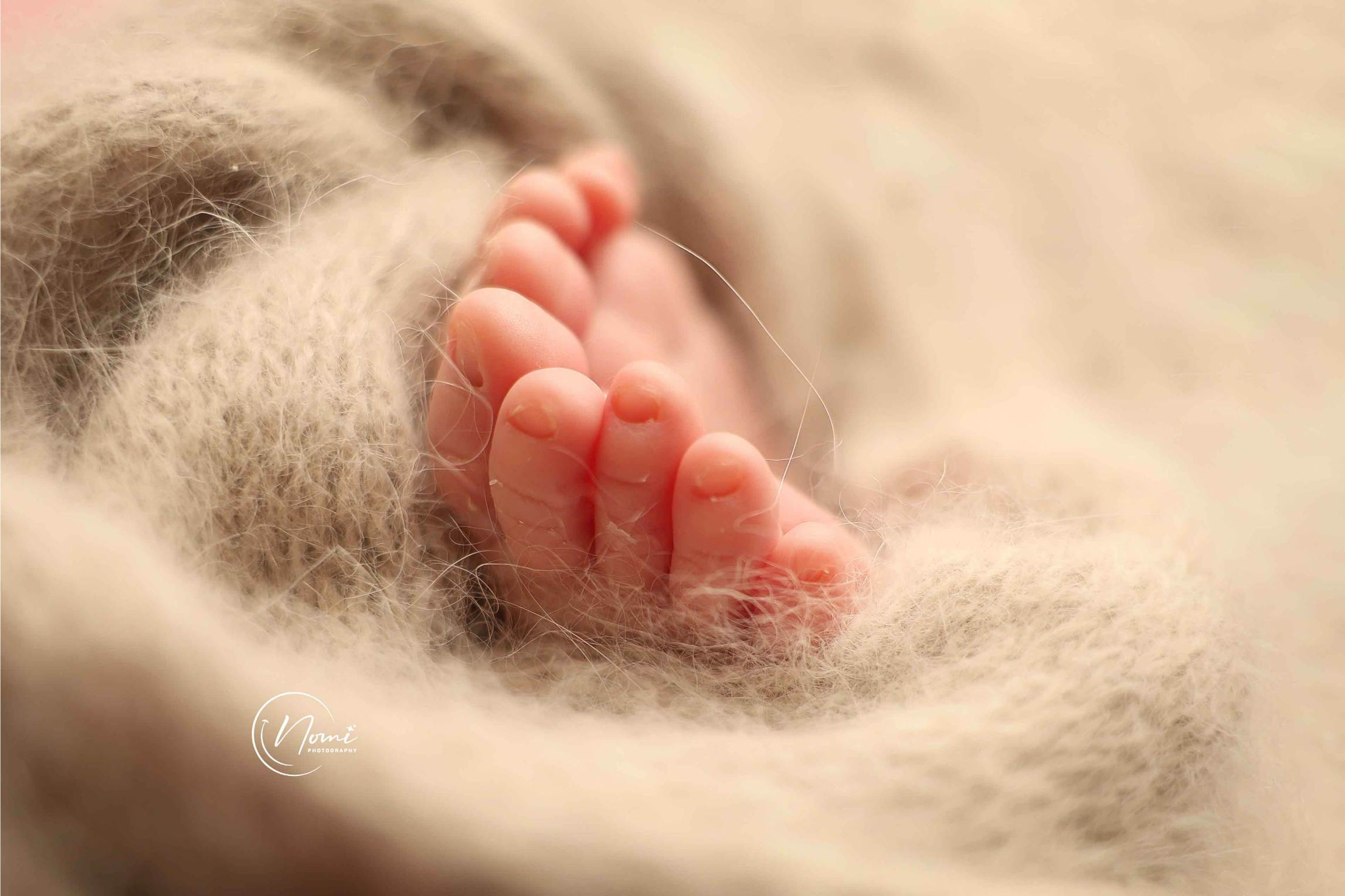 2 נעמי צלמת 0556738729.jpg