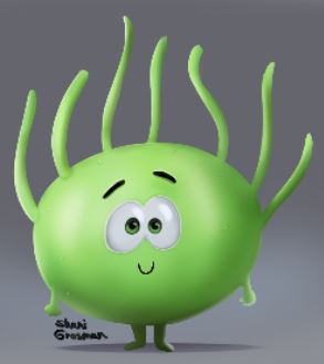 2 קולורבי שני גרוסמן.JPG