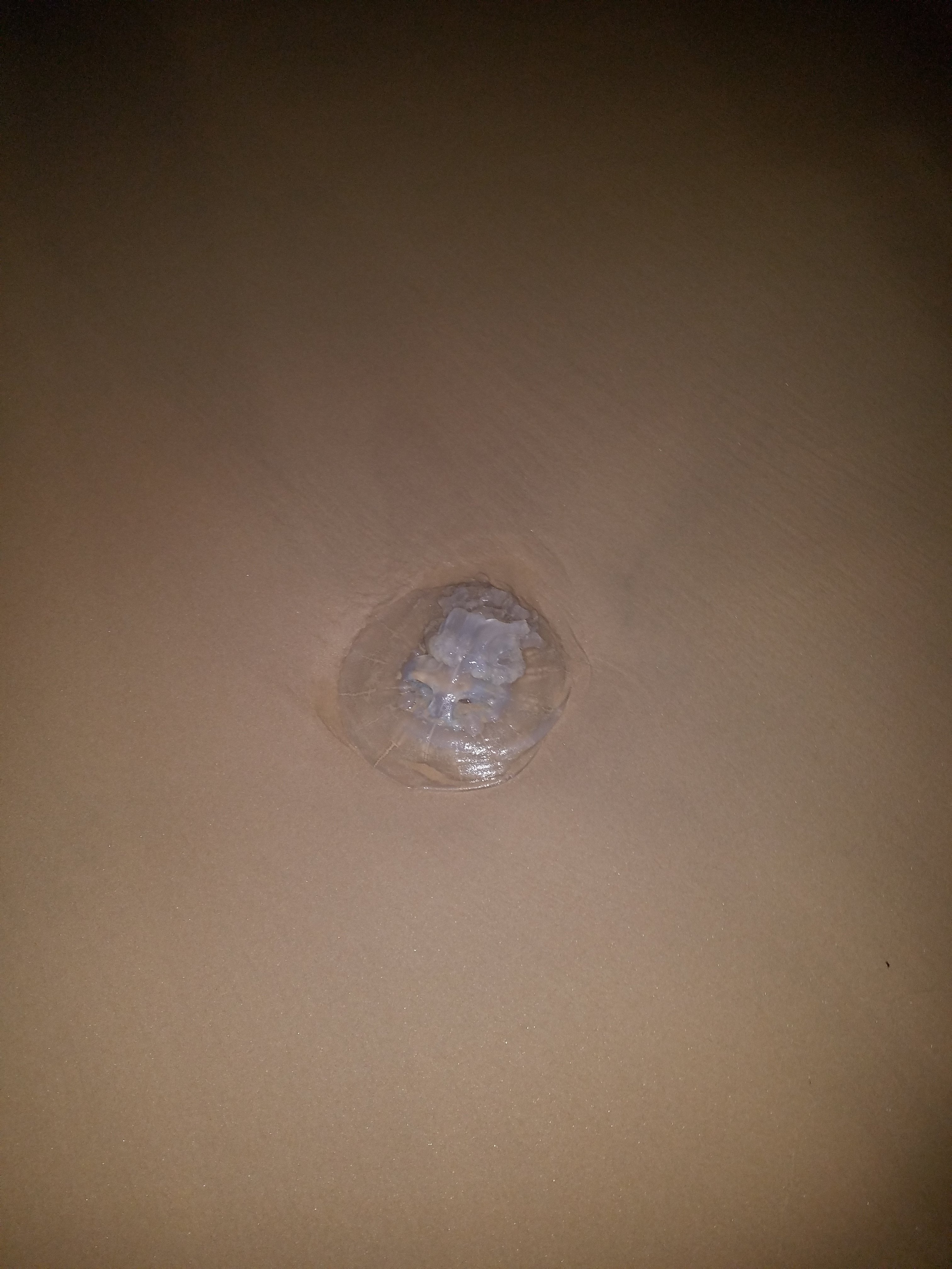 20180618_235713.jpg