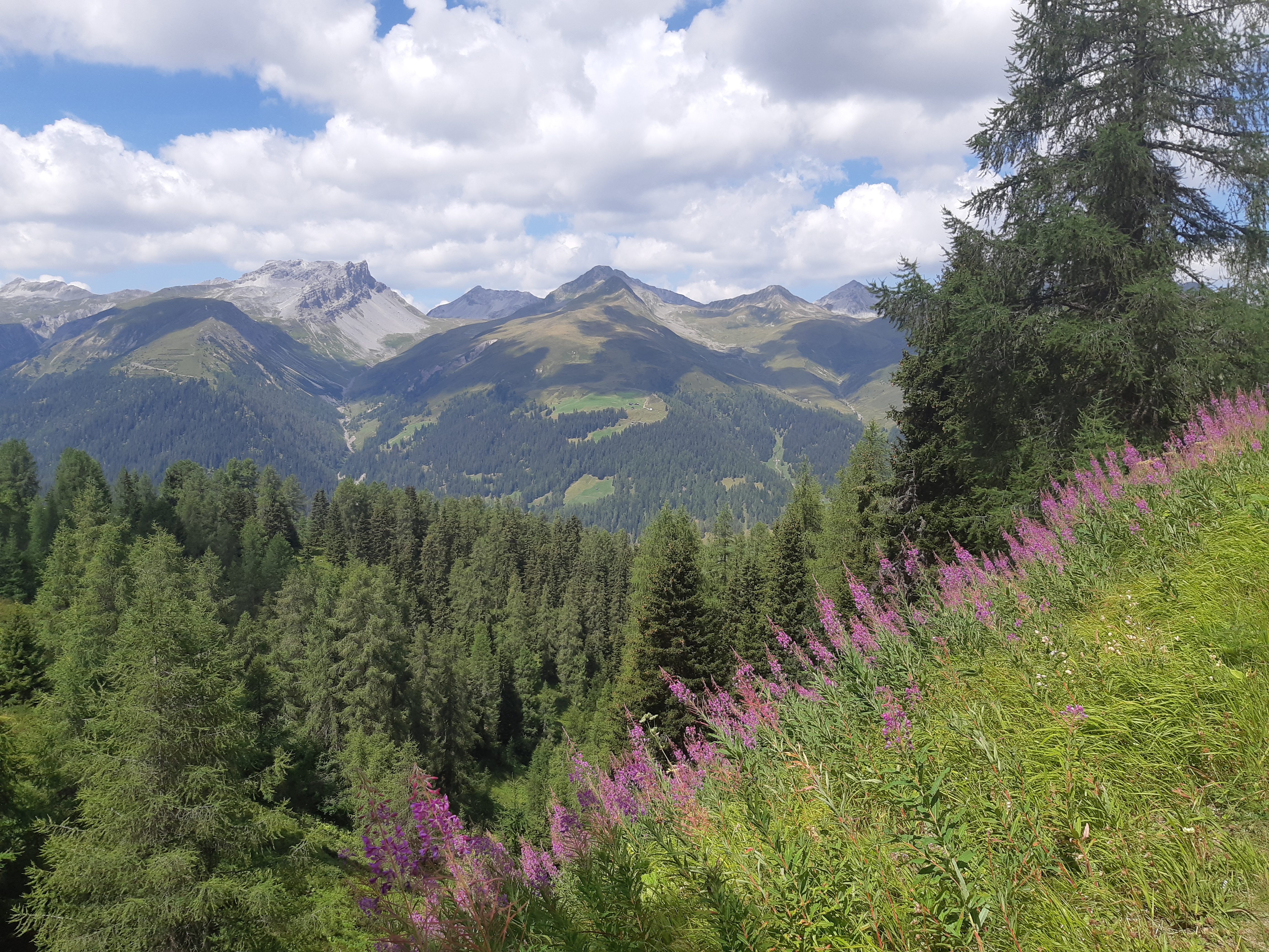 20180812_122728.jpg