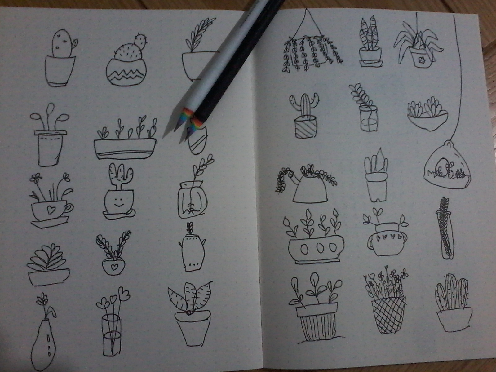 20180909_001720 (1).jpg