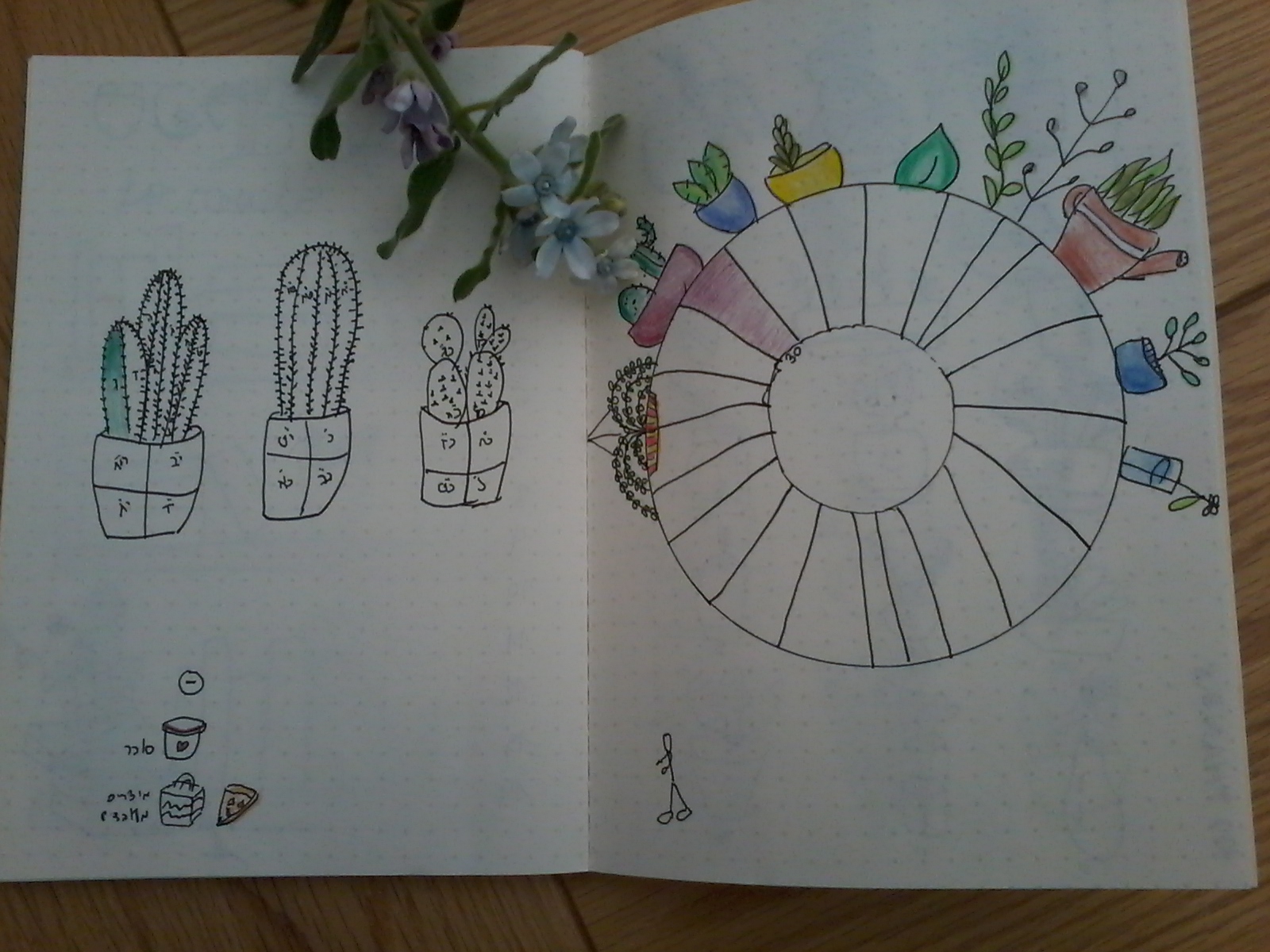 20180913_162018 (1).jpg