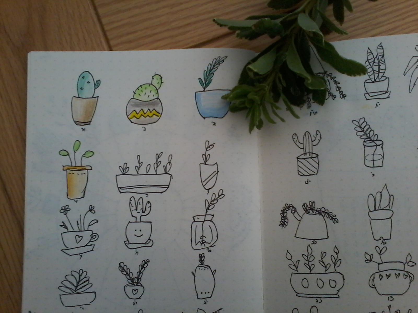 20180913_162058 (1).jpg