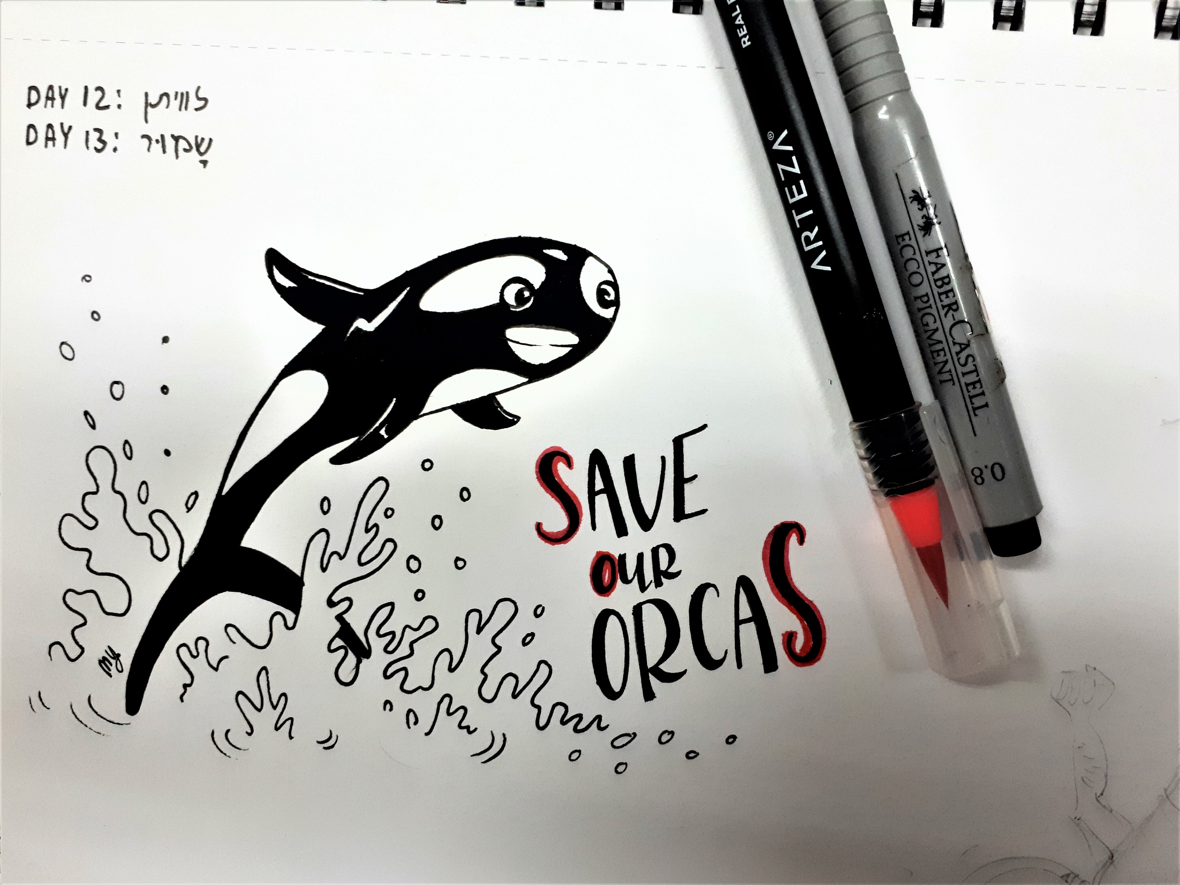 20181017_000606 (1).jpg