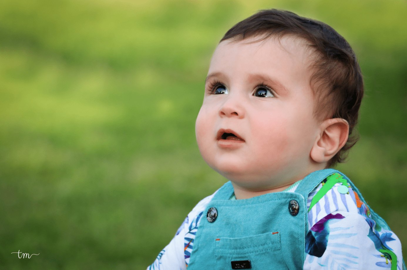 2020-04-21 110335.png