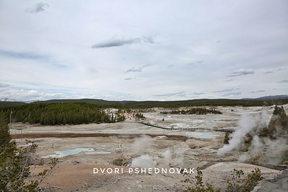 2020-05-19 001 245-01.jpg