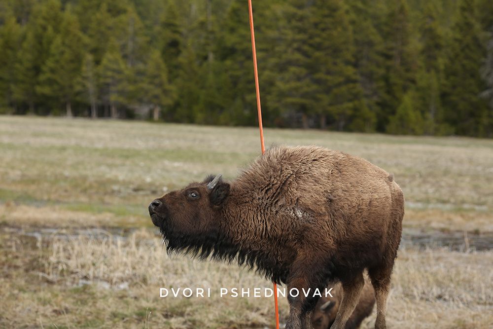 2020-05-19 001 314-02.jpg