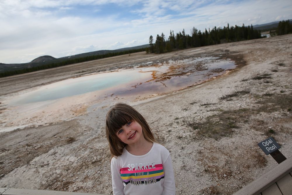 2020-05-19 001 355-01.jpg