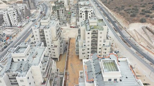 2020-10-26 (29).jpeg