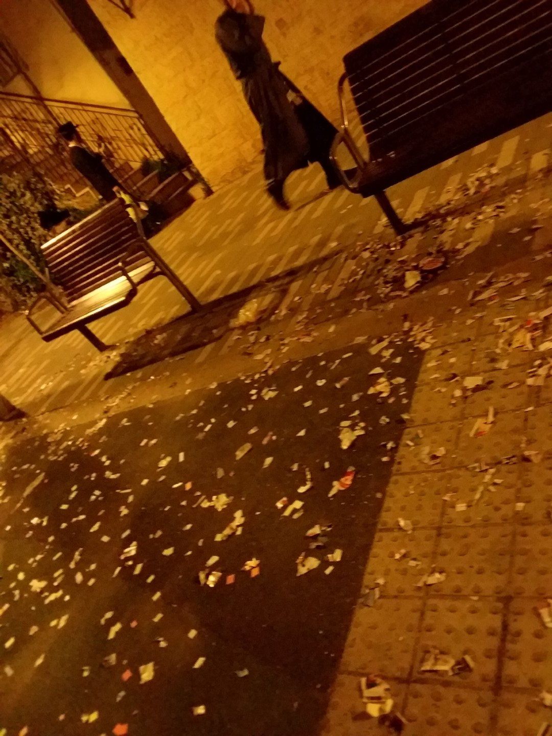 20200303_222102 (Large).jpg