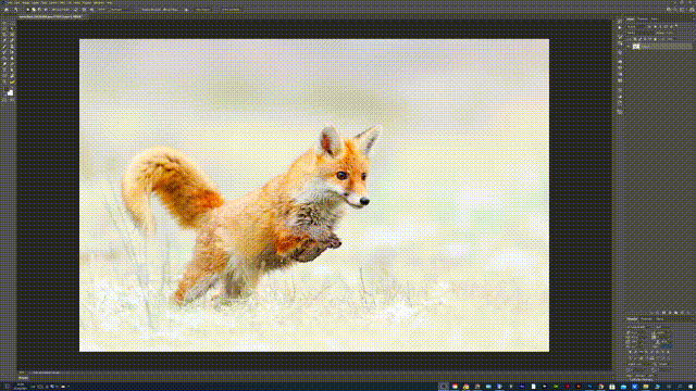 2021-10-25 21-56-26 00_00_00-00_00_30.gif