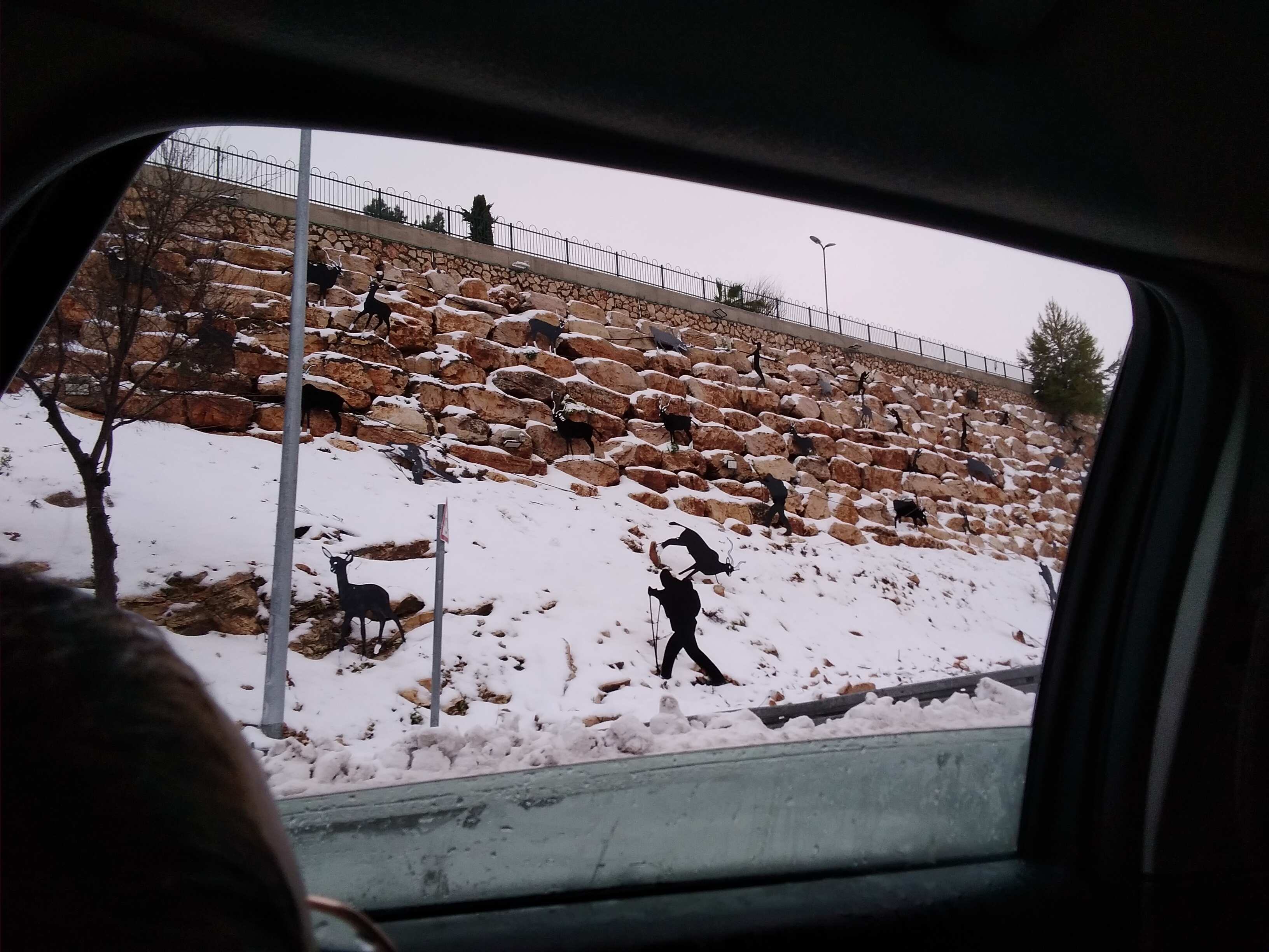 20210217_163248 (1).jpg