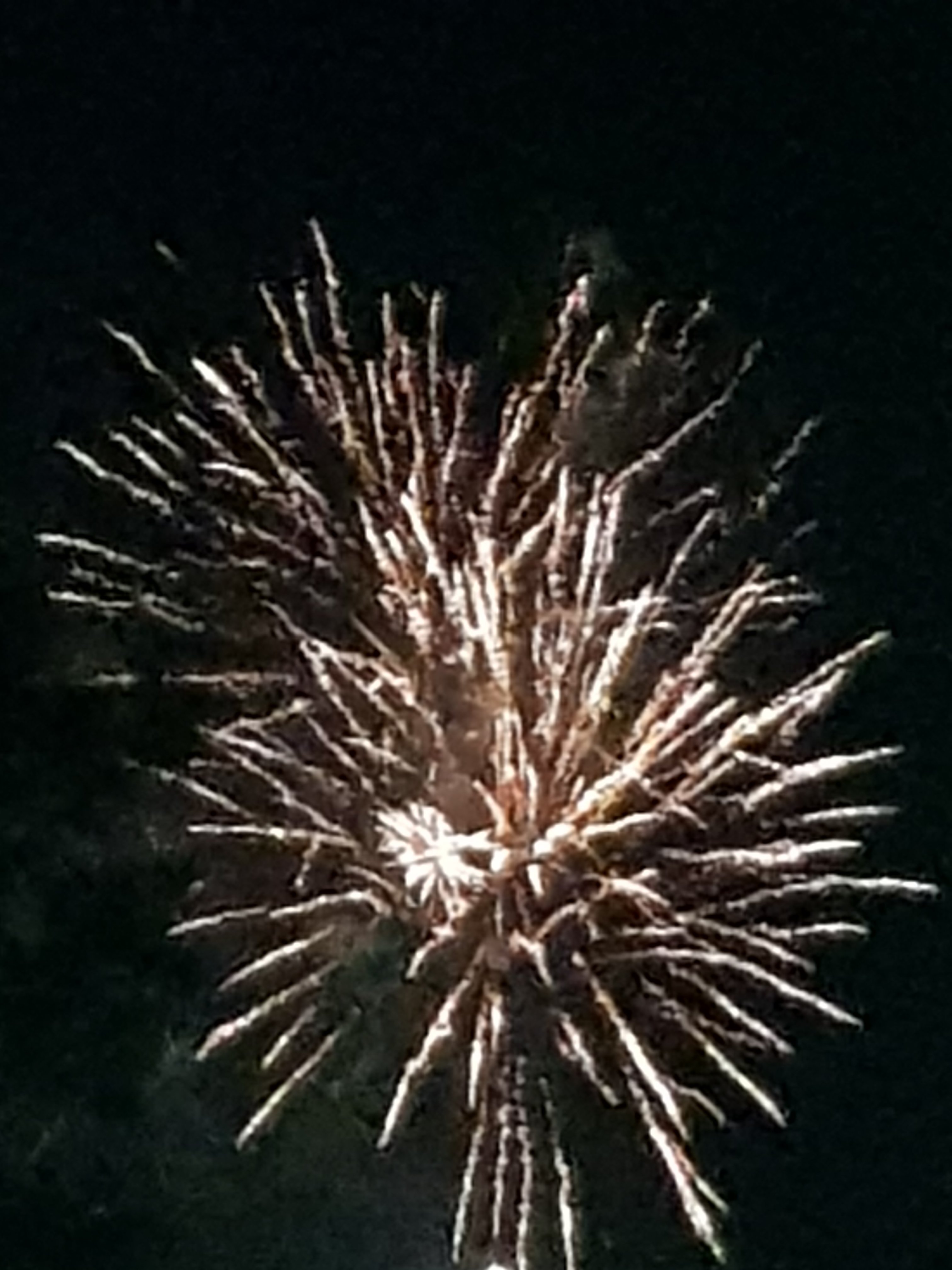 20210414_210221.jpg