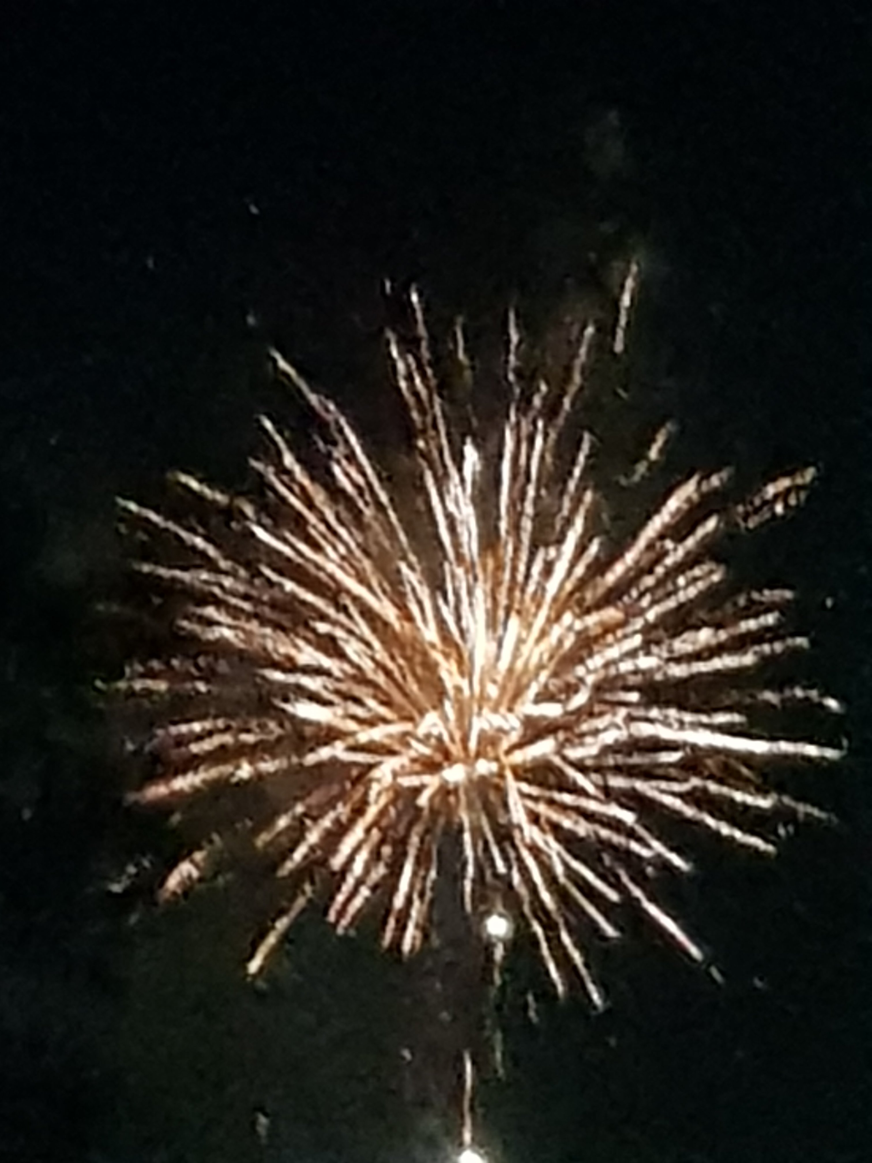 20210414_210222.jpg