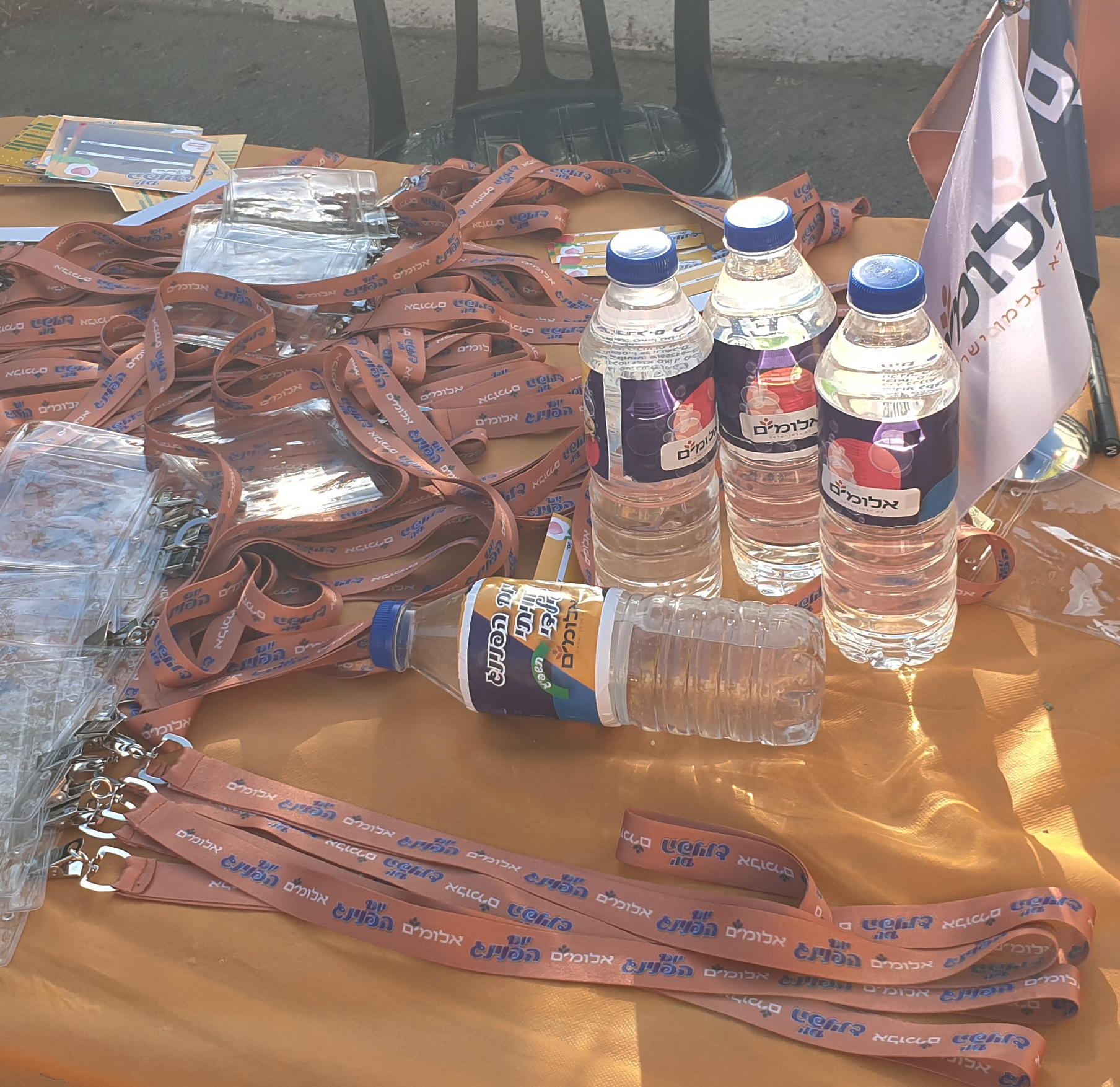 20230801_175239 copy.jpg