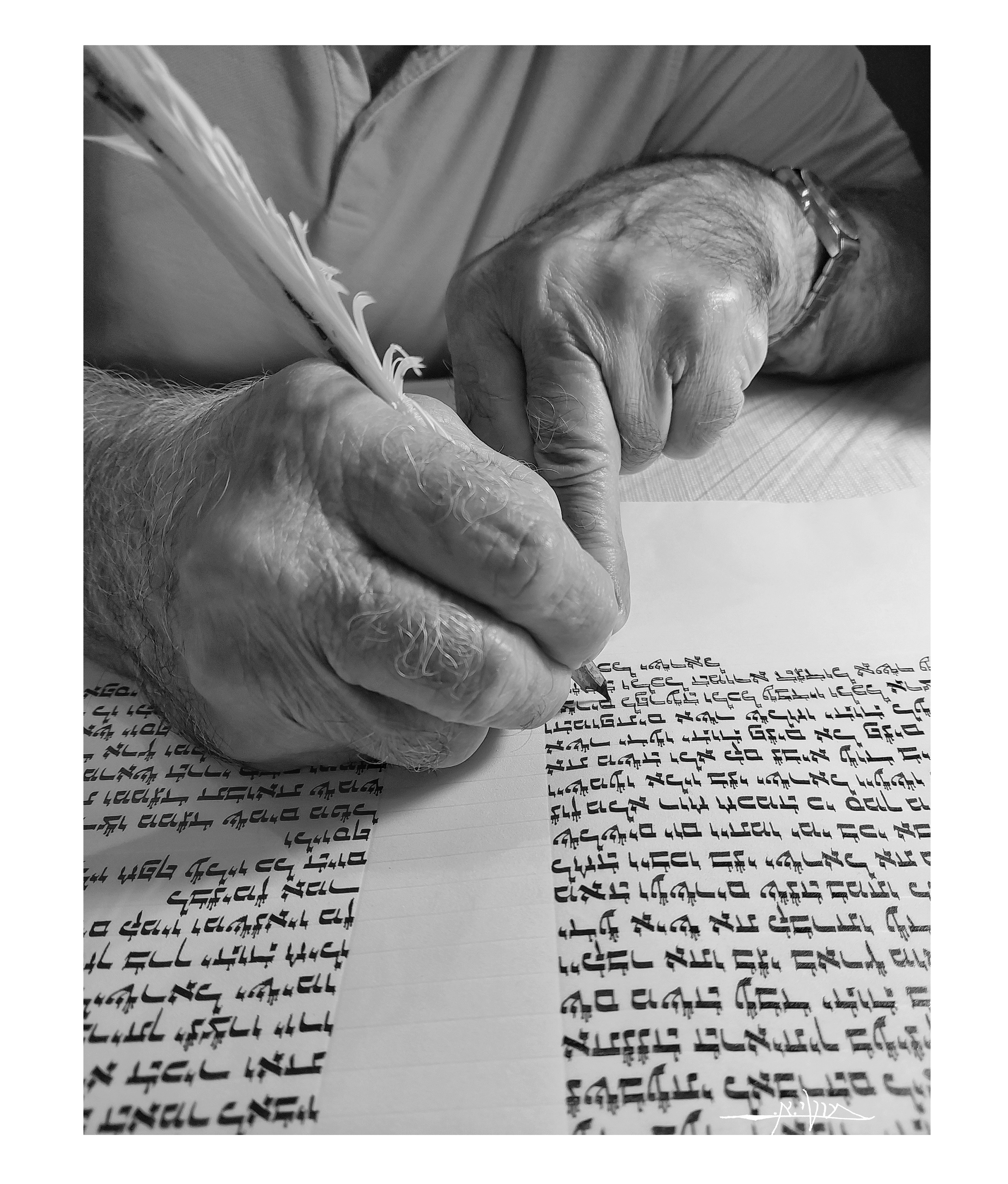 20241127_180557 (1) (1) (1).jpg