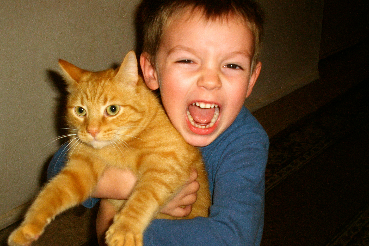 20251016_0909_ילד וחתול בצילום רטרו_simple_compose_01k7nxhkc8e7f9bnzyzs89agjg.png