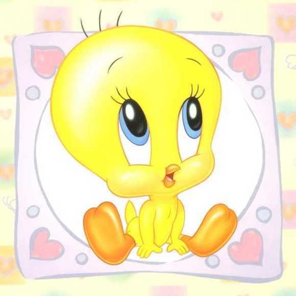 2087009-baby_tweety_bird_tweety_bird_5696470_580_580.jpg