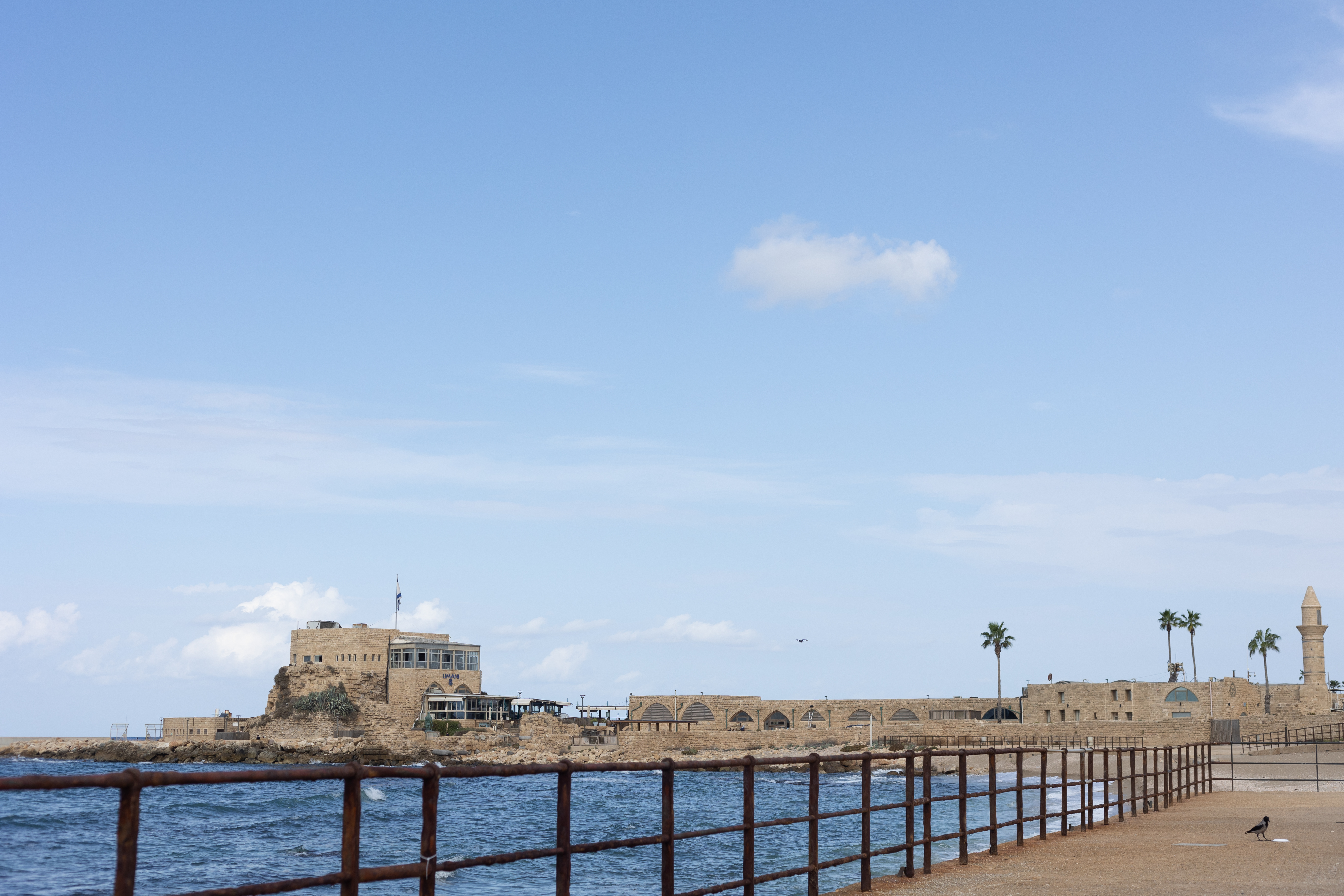 21שירה אהרוני צילום מקצועי.jpg