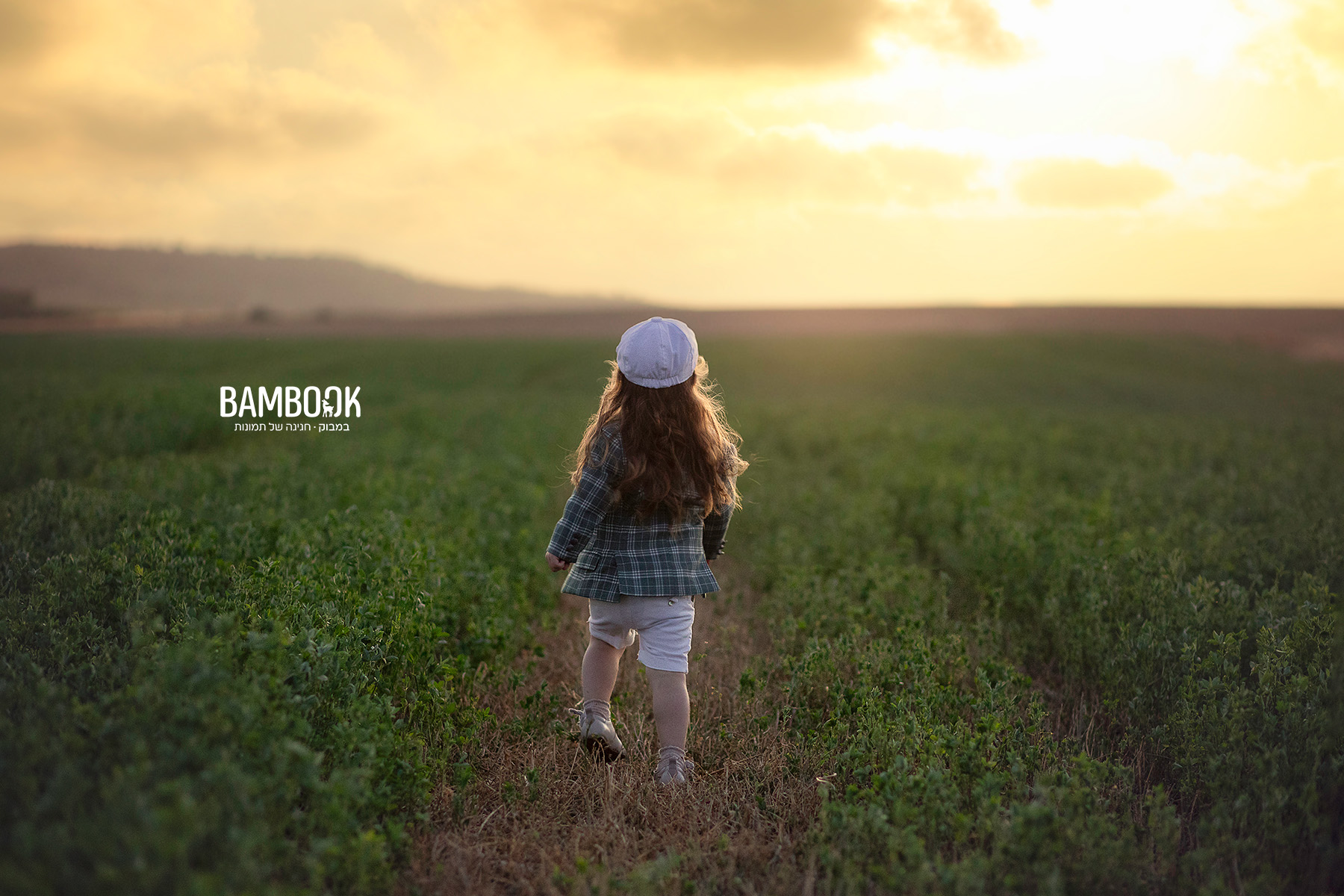 234A0263-Edit copy.jpg