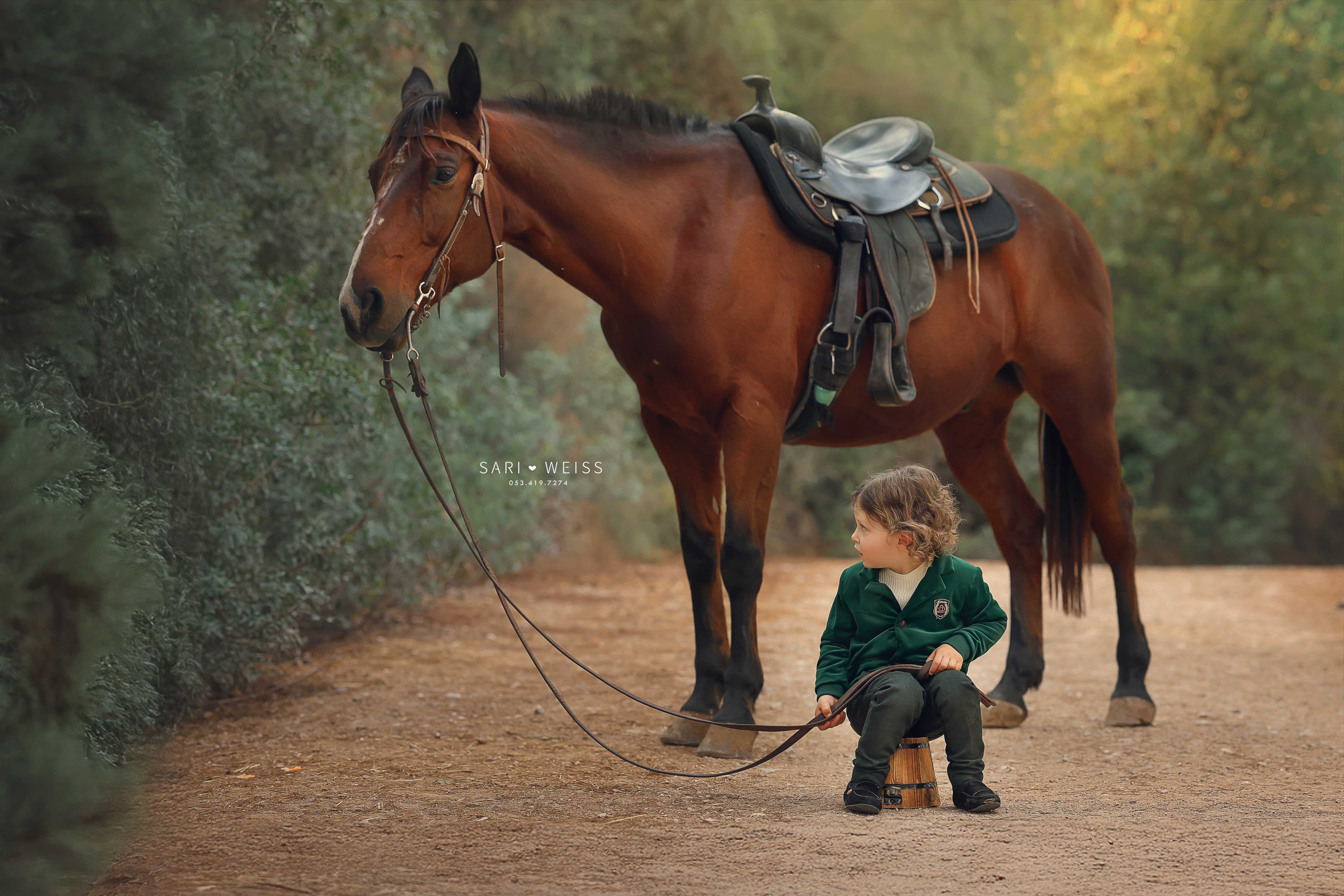 237A0818 copy מוקטן.jpg