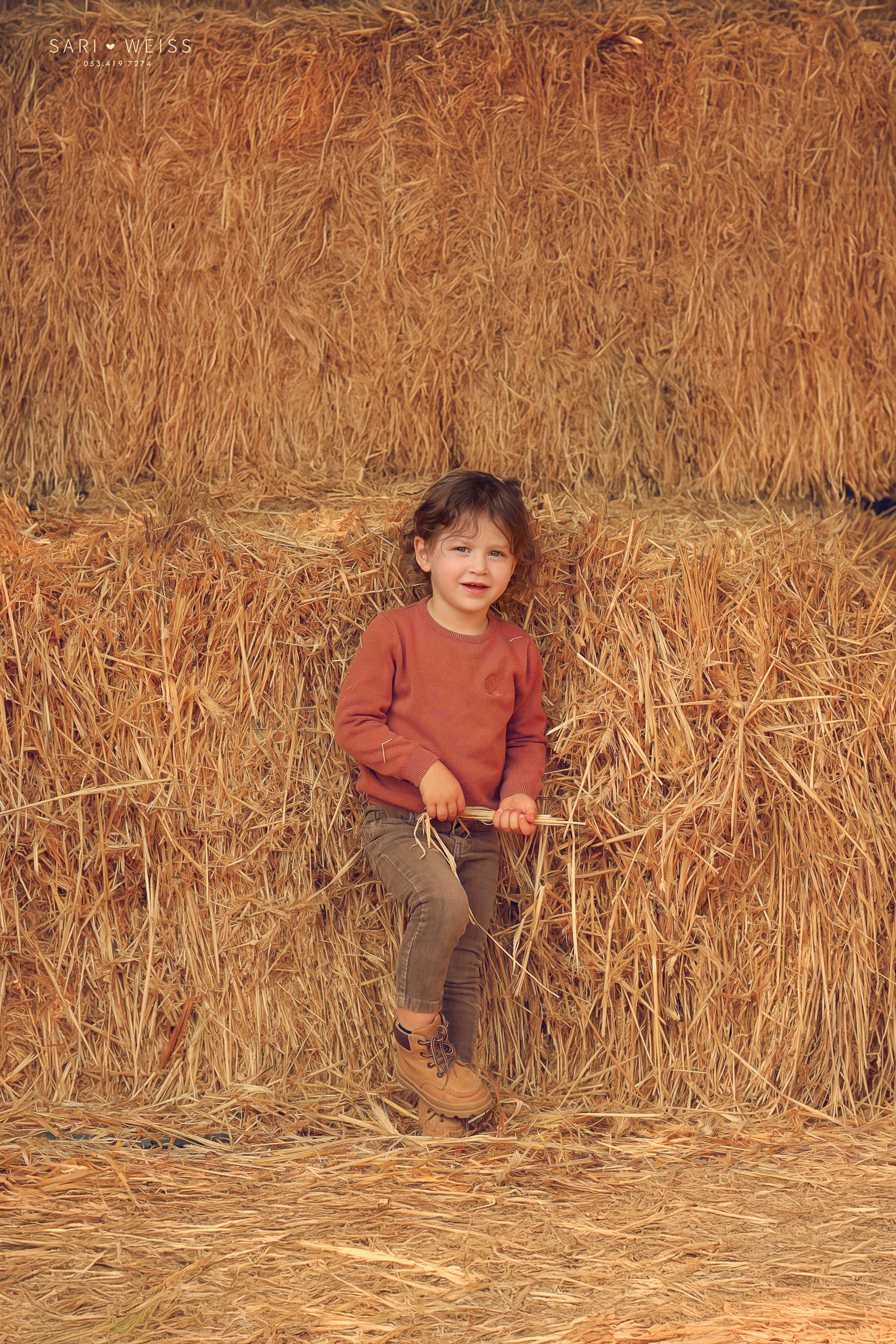 237A1063 copy מוקטן.jpg