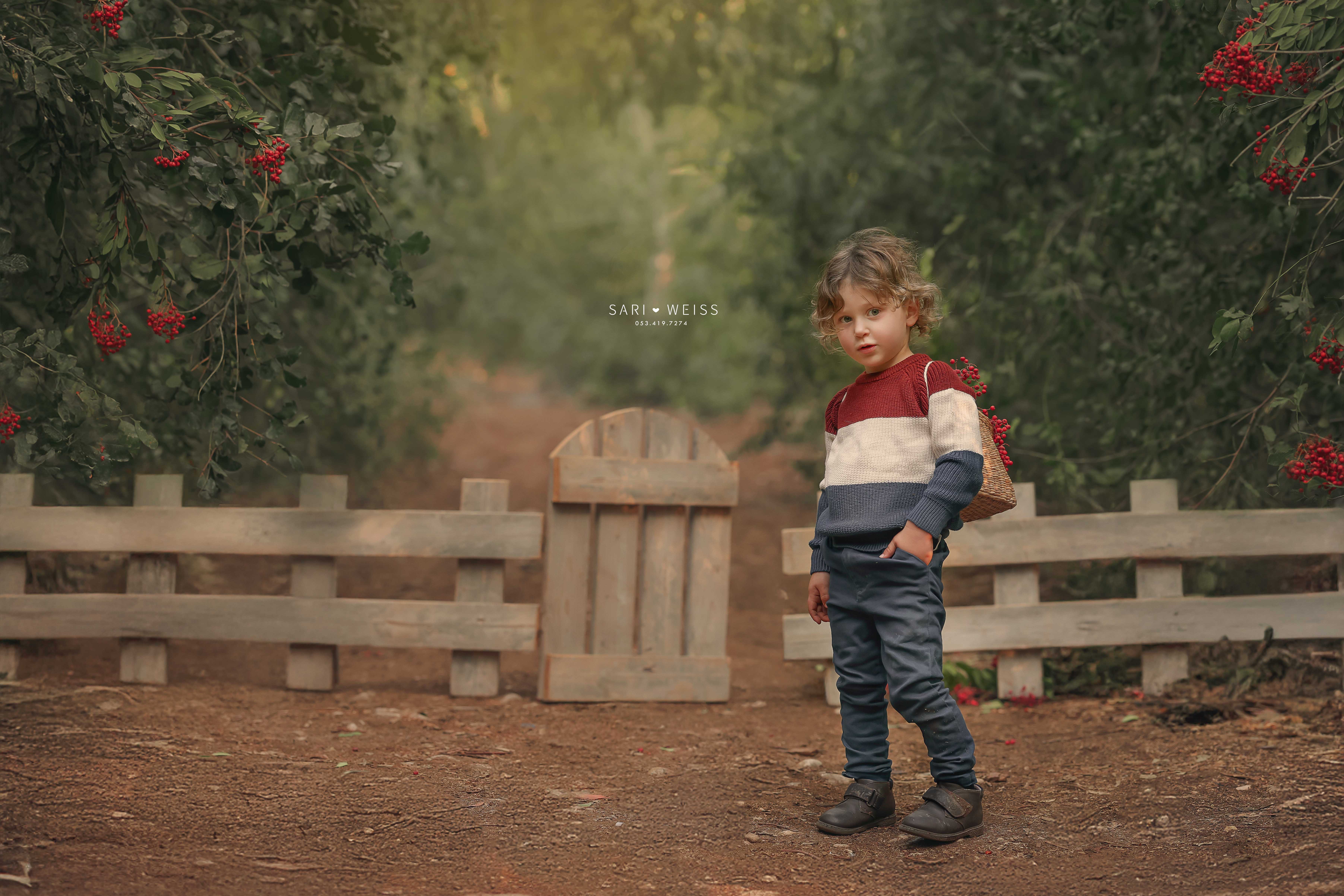 237A1264 copy מוקטן.jpg