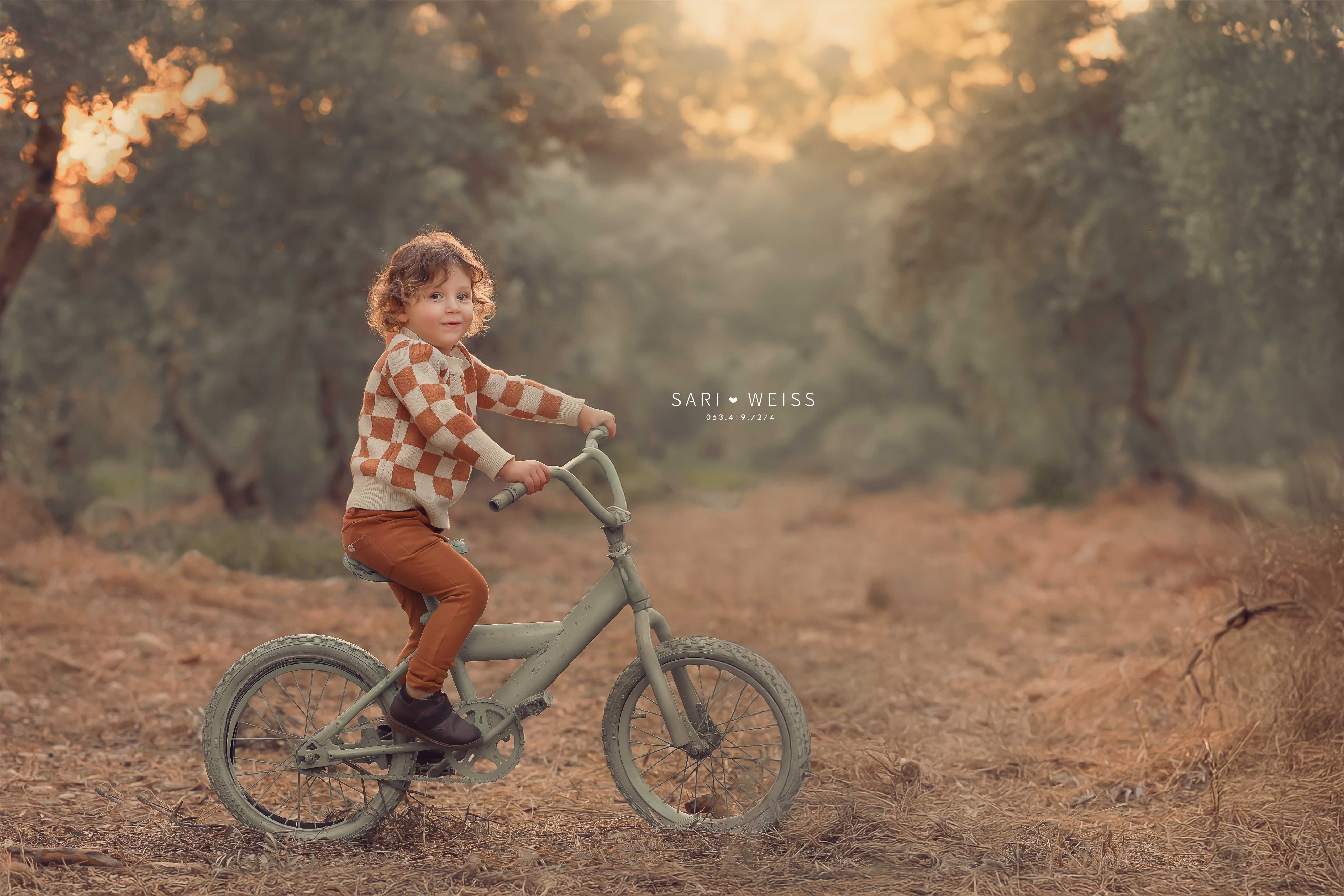 237A1510 copy 2 מוקטן.jpg