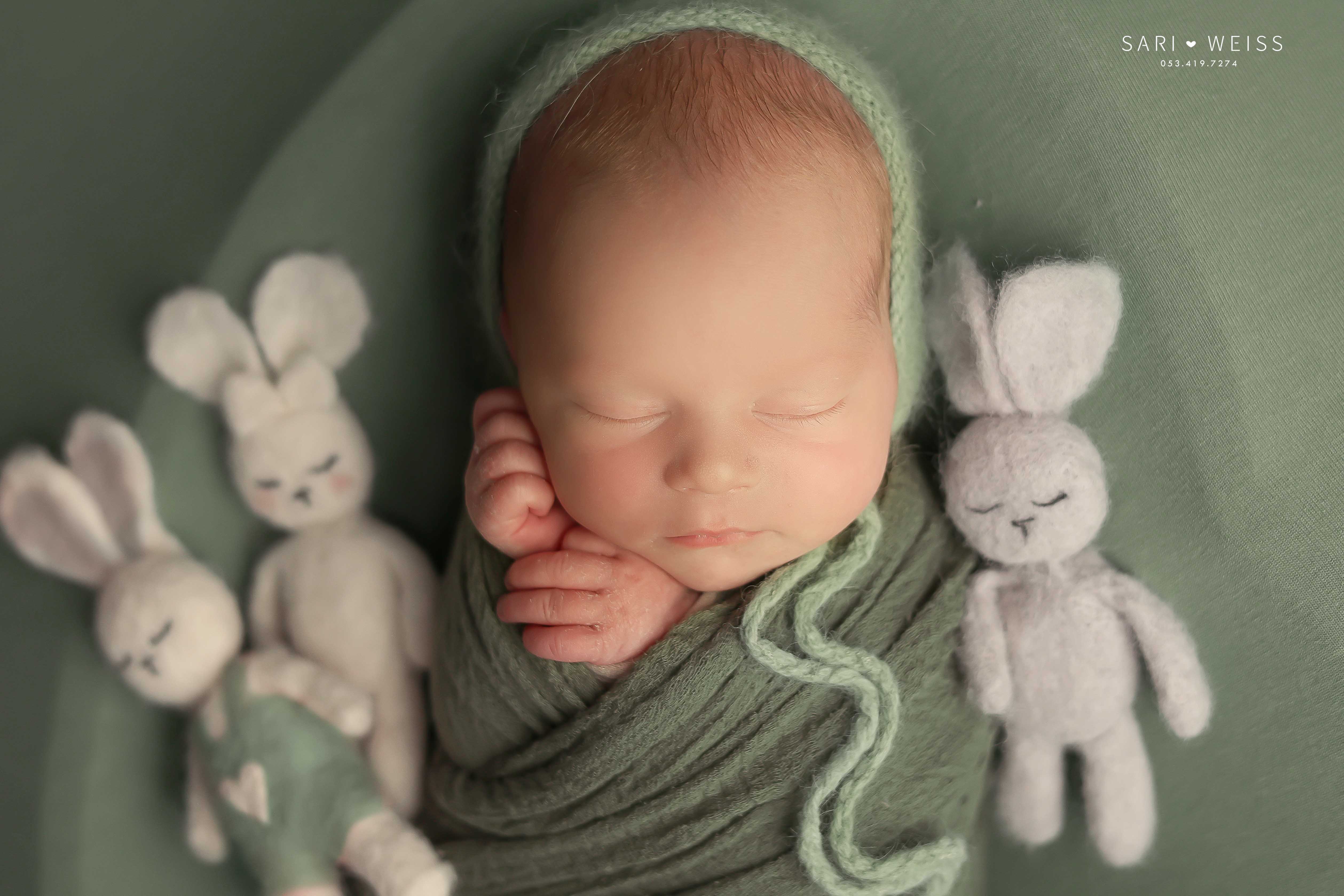 237A2600 copy מוקטן.jpg