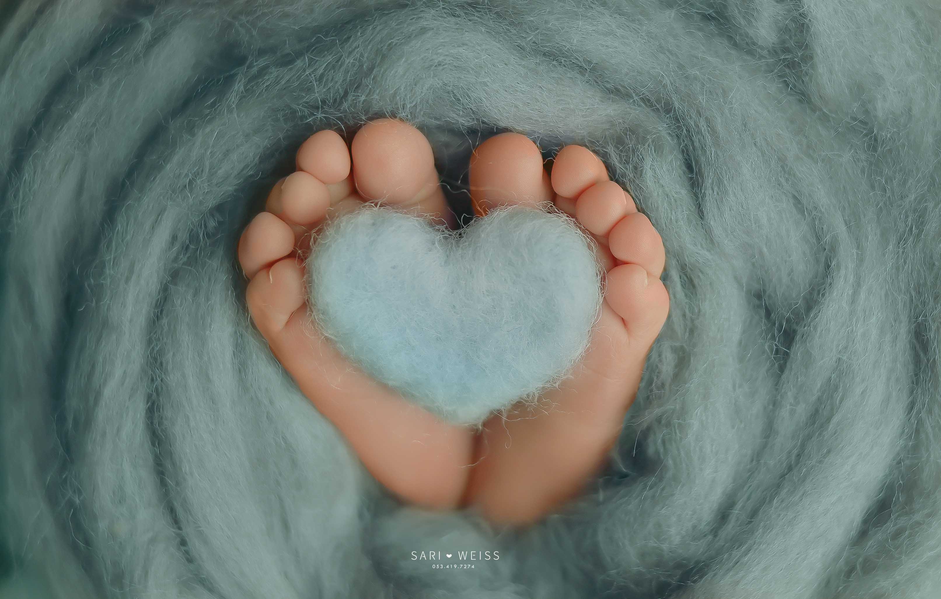 237A2608 copy מוקטן.jpg