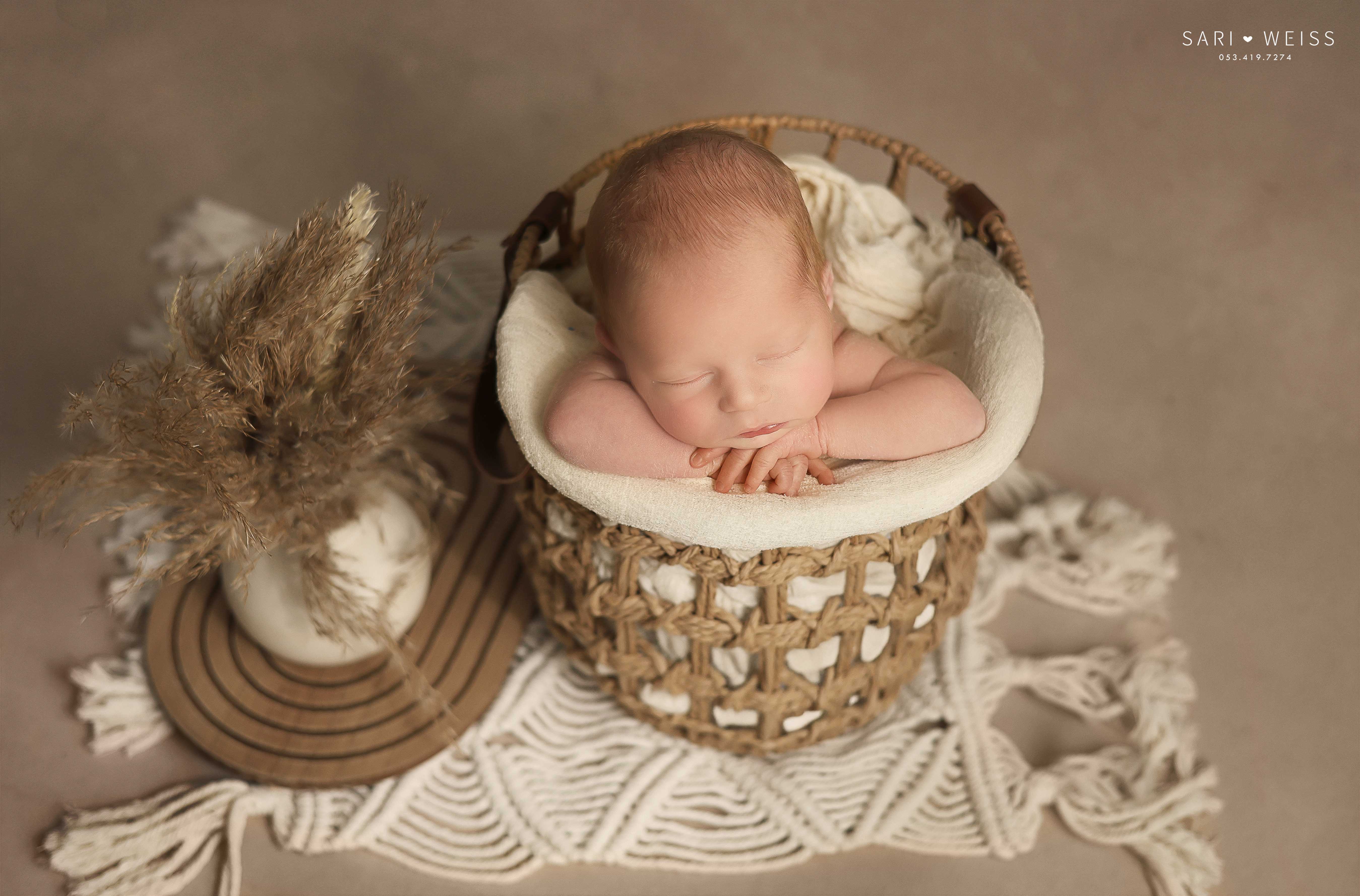 237A2619 copy מוקטן.jpg