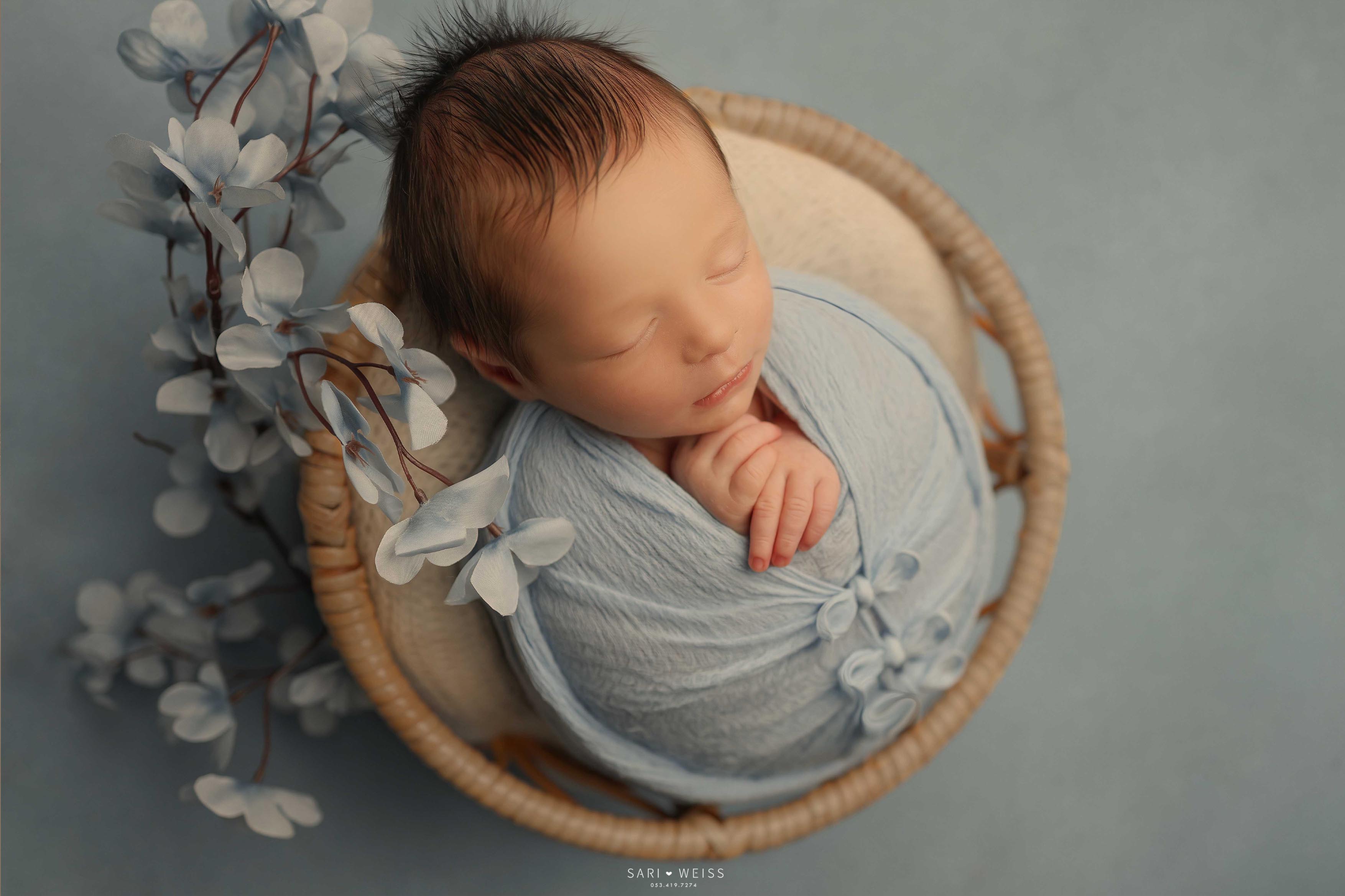 237A2628 copy ומק.jpg