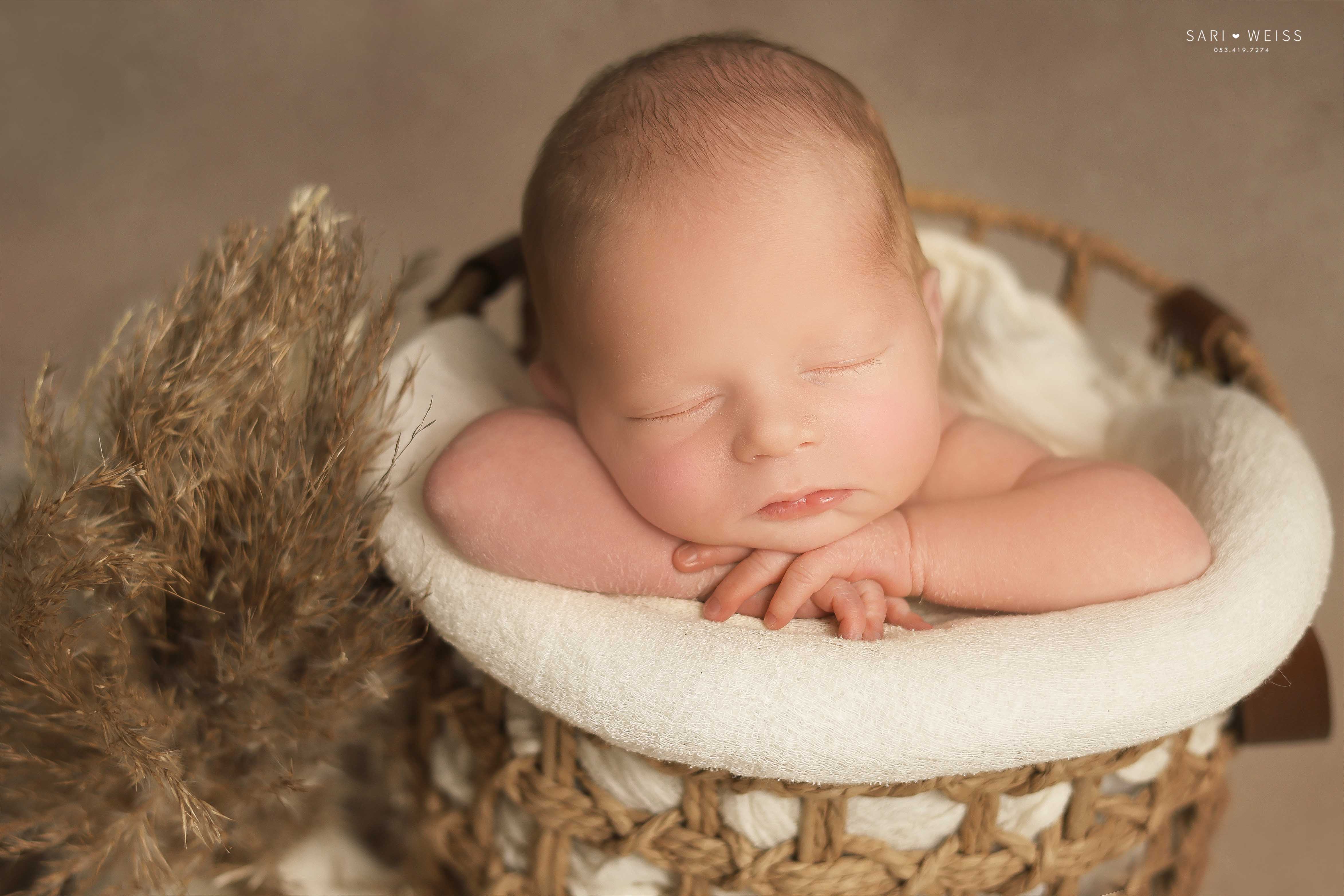 237A2643 copy מוקטן.jpg