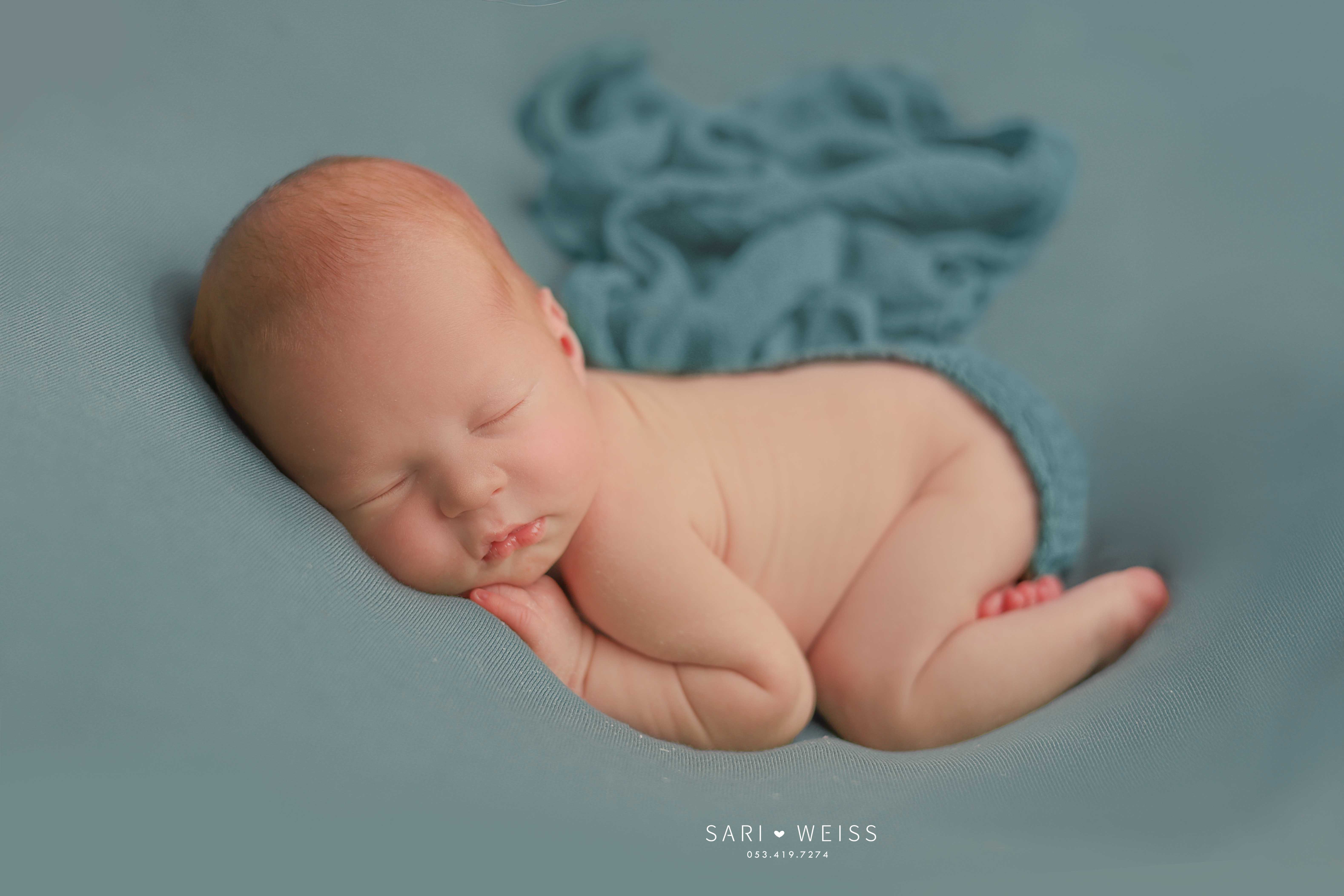 237A2659 copy מוקטן.jpg