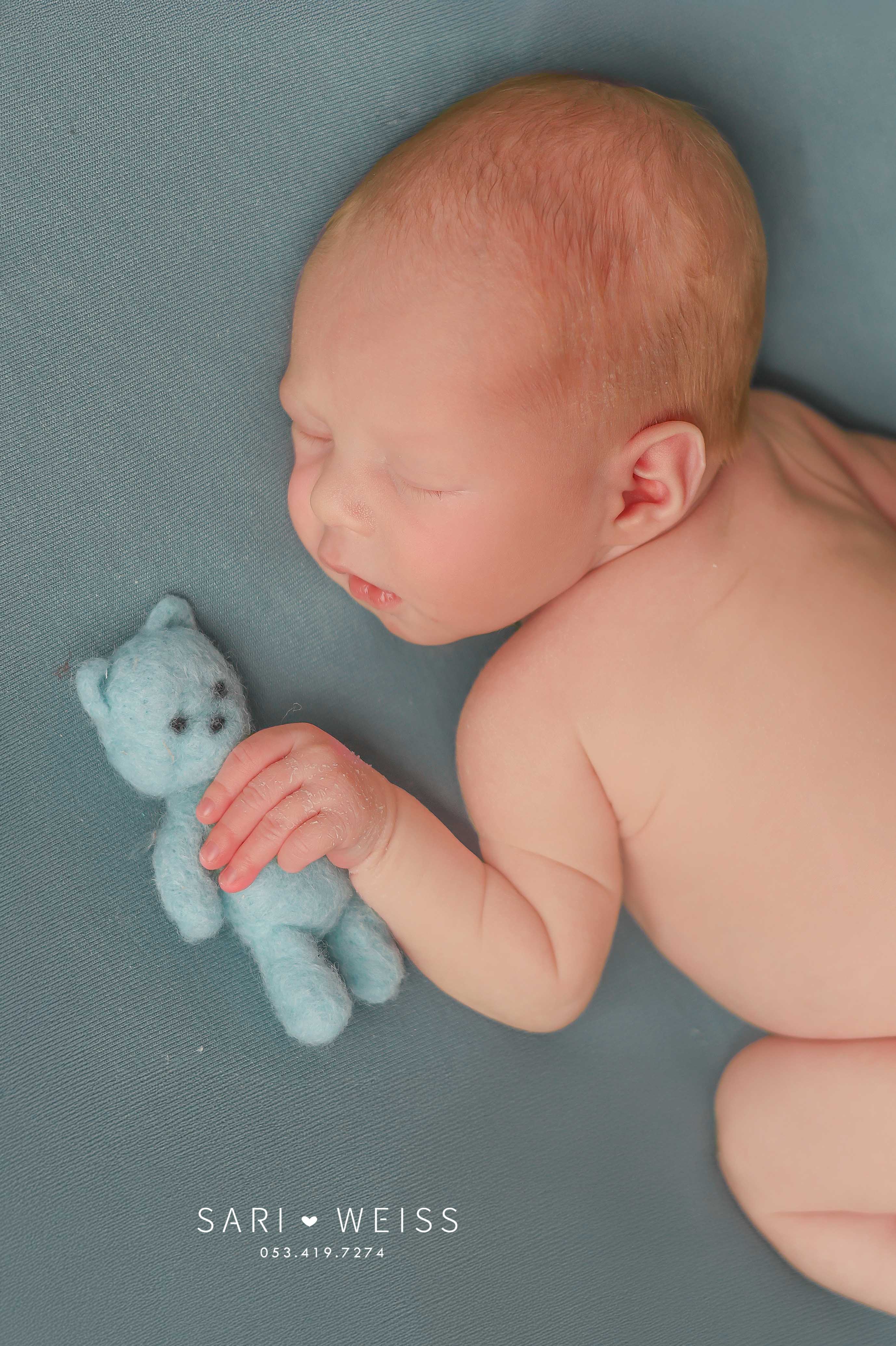 237A2664 copy ב מוקטן.jpg