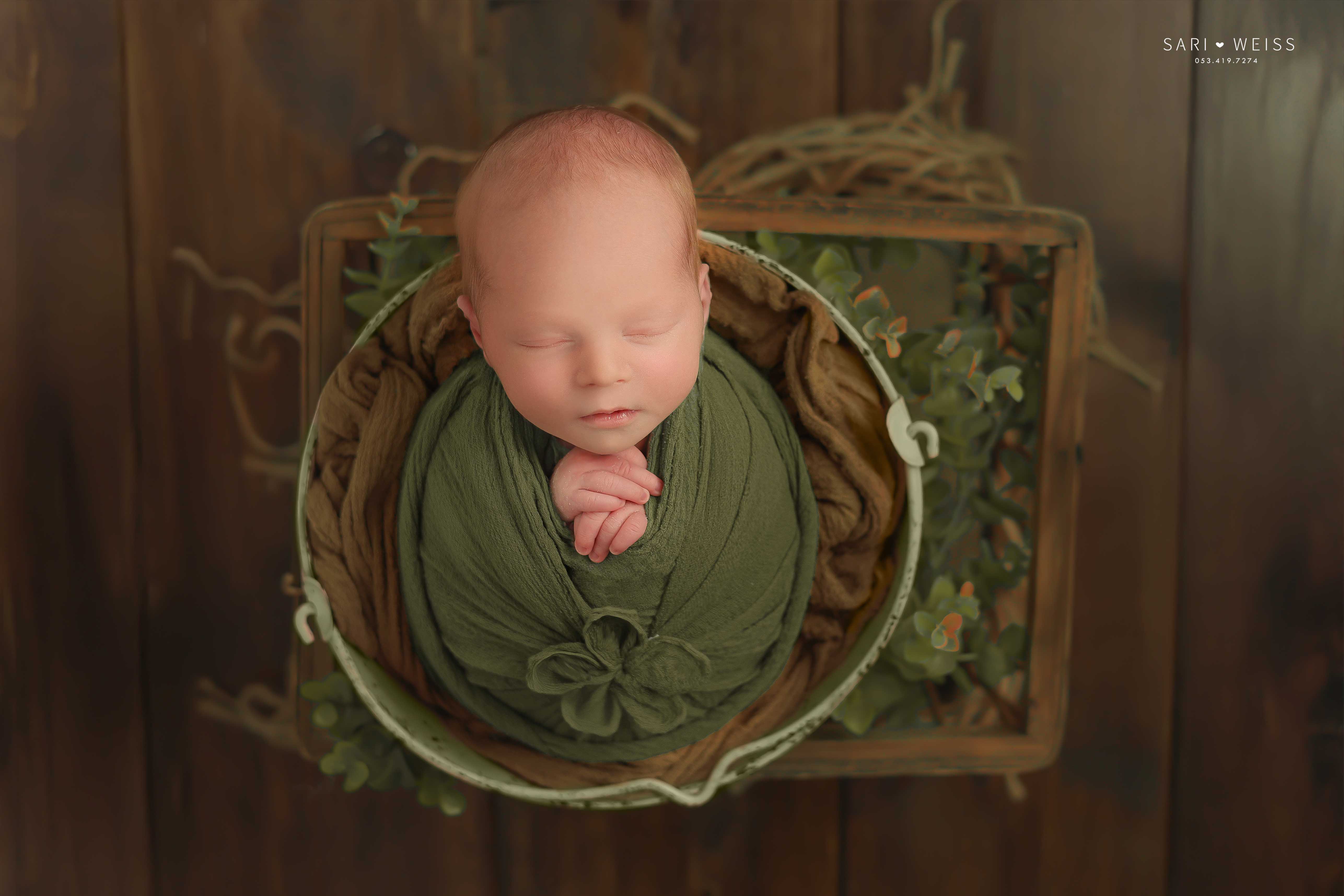 237A2673 copy מוקטן.jpg