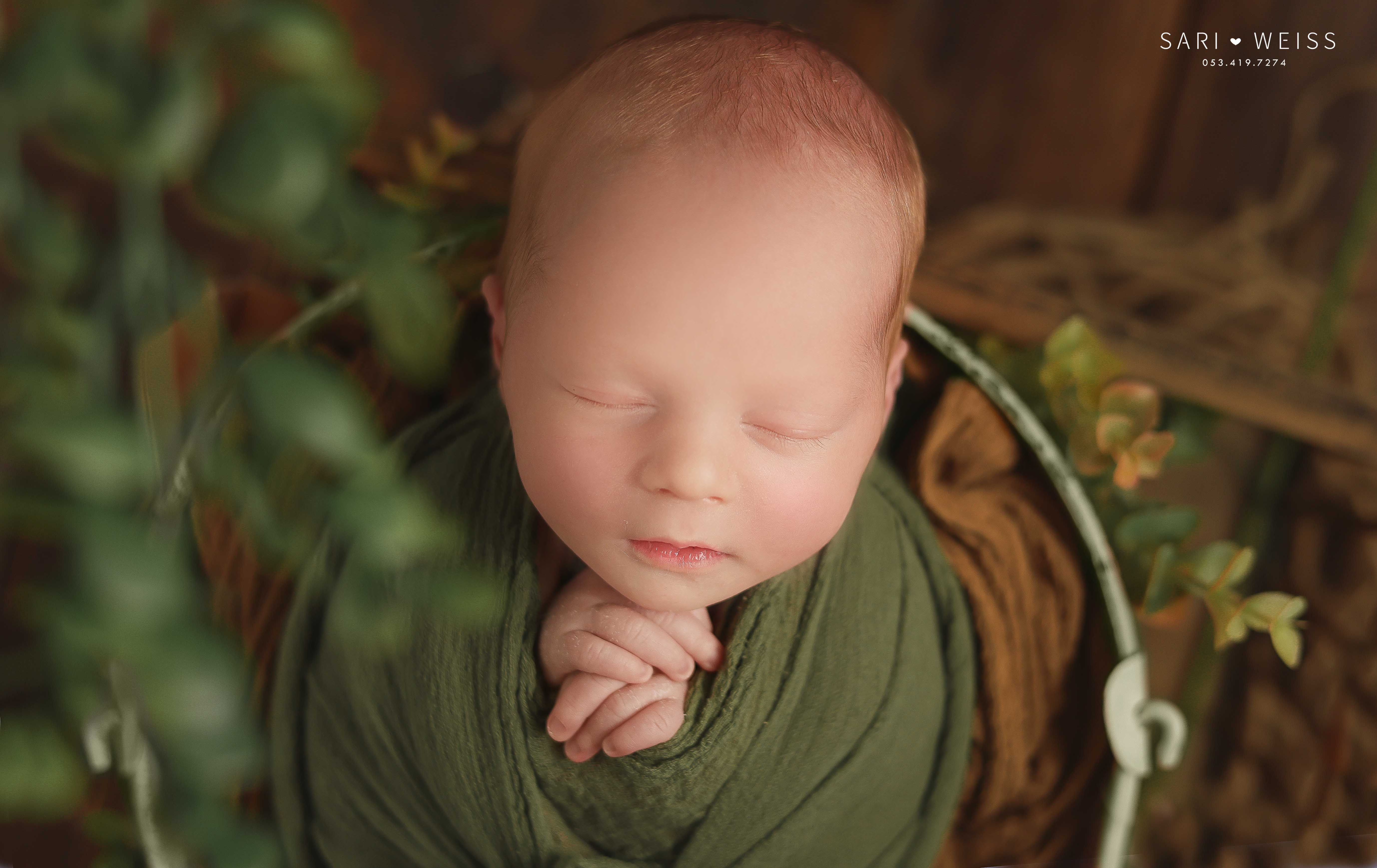 237A2710 copy מוקטן.jpg