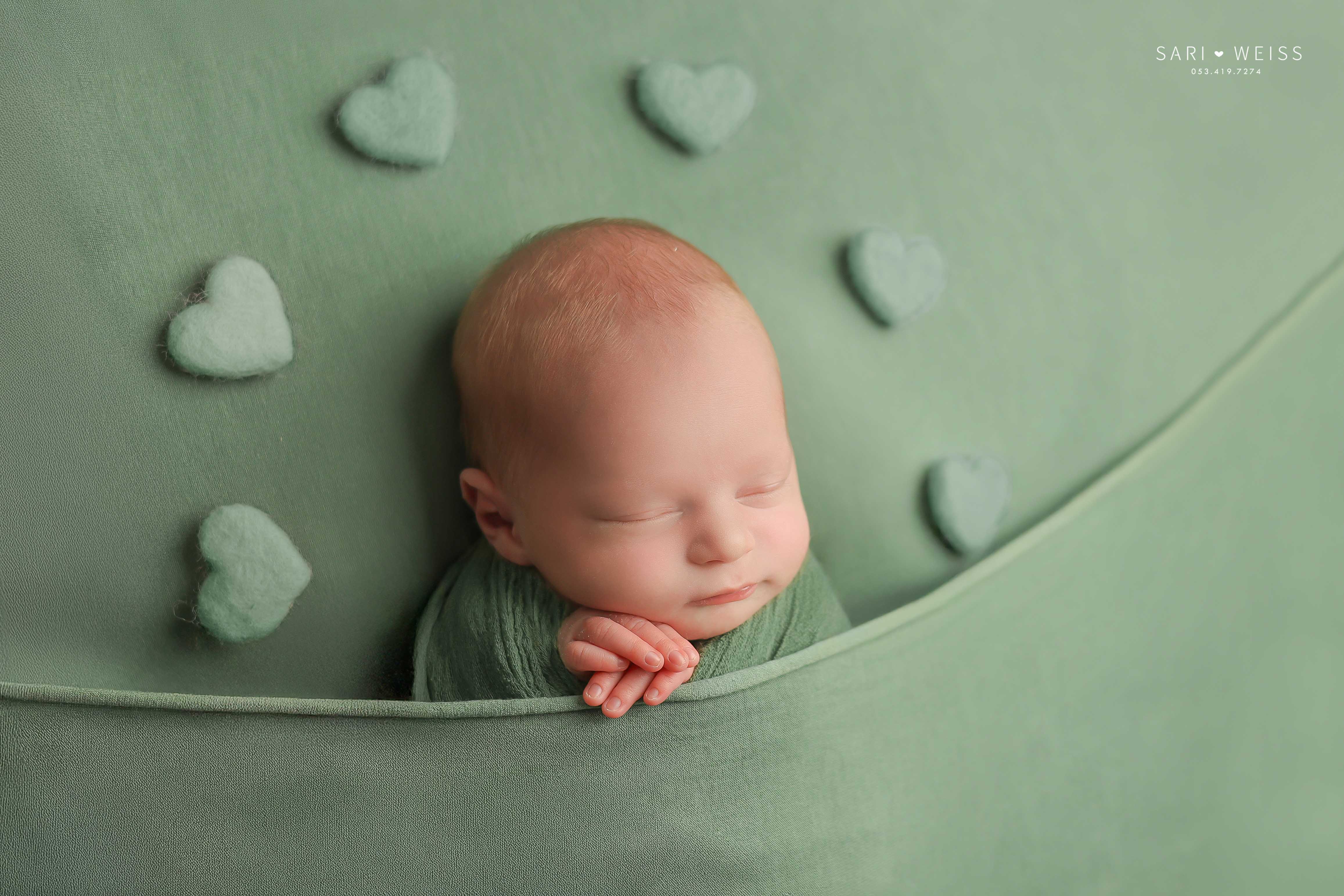 237A2729 copy 2 מוקטן.jpg