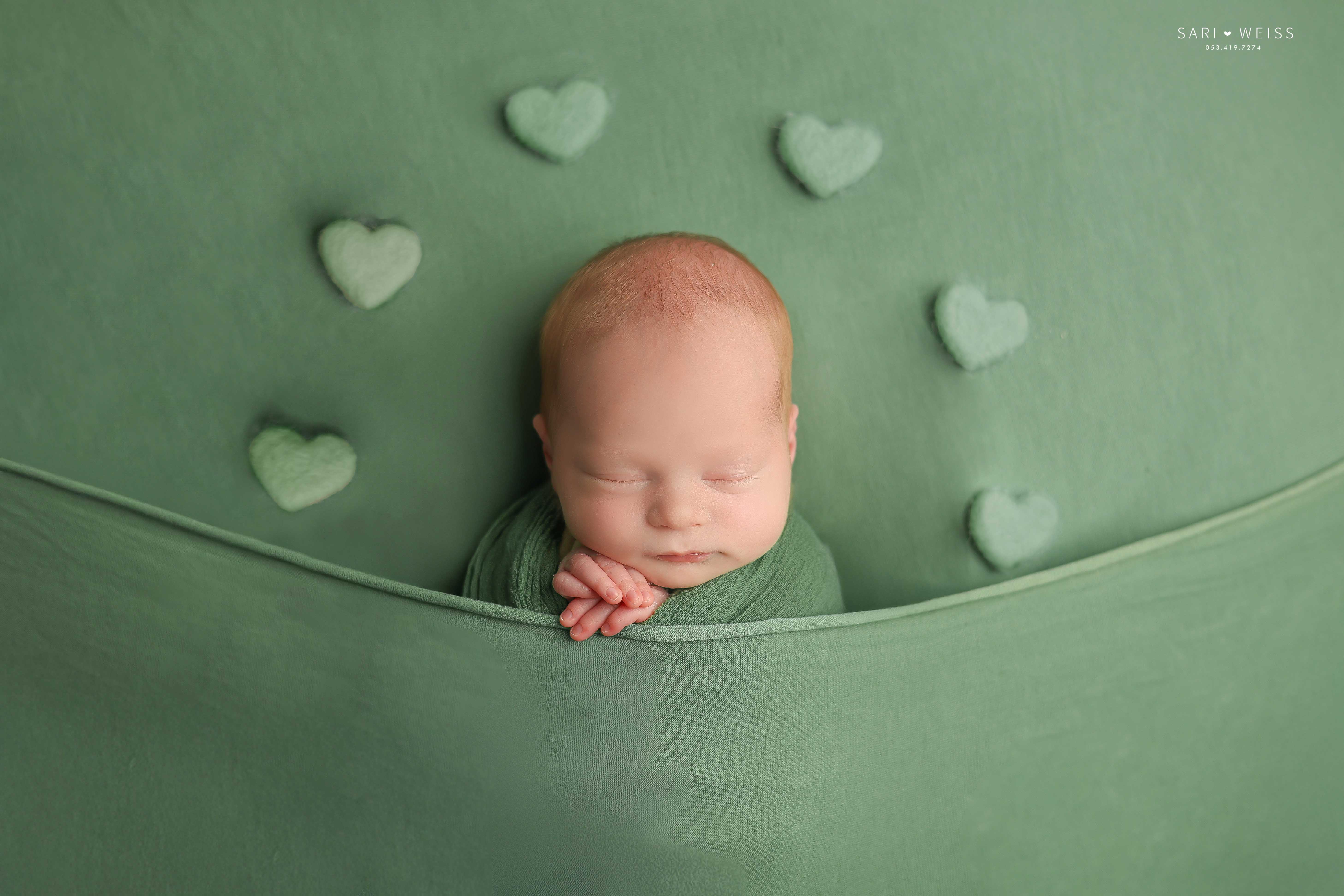 237A2748 copy 2 מוקטן.jpg