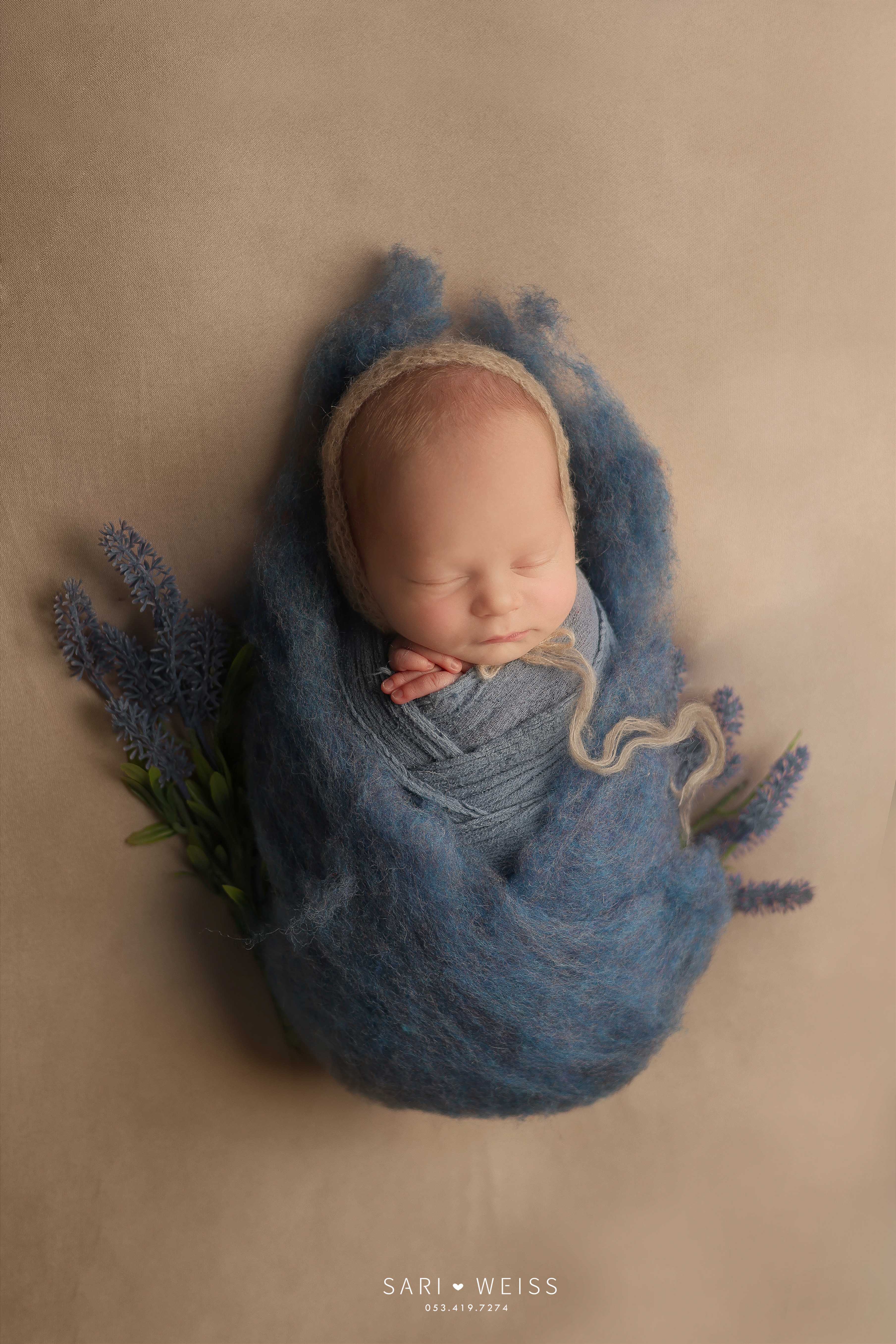 237A2767 copy מוקטן.jpg