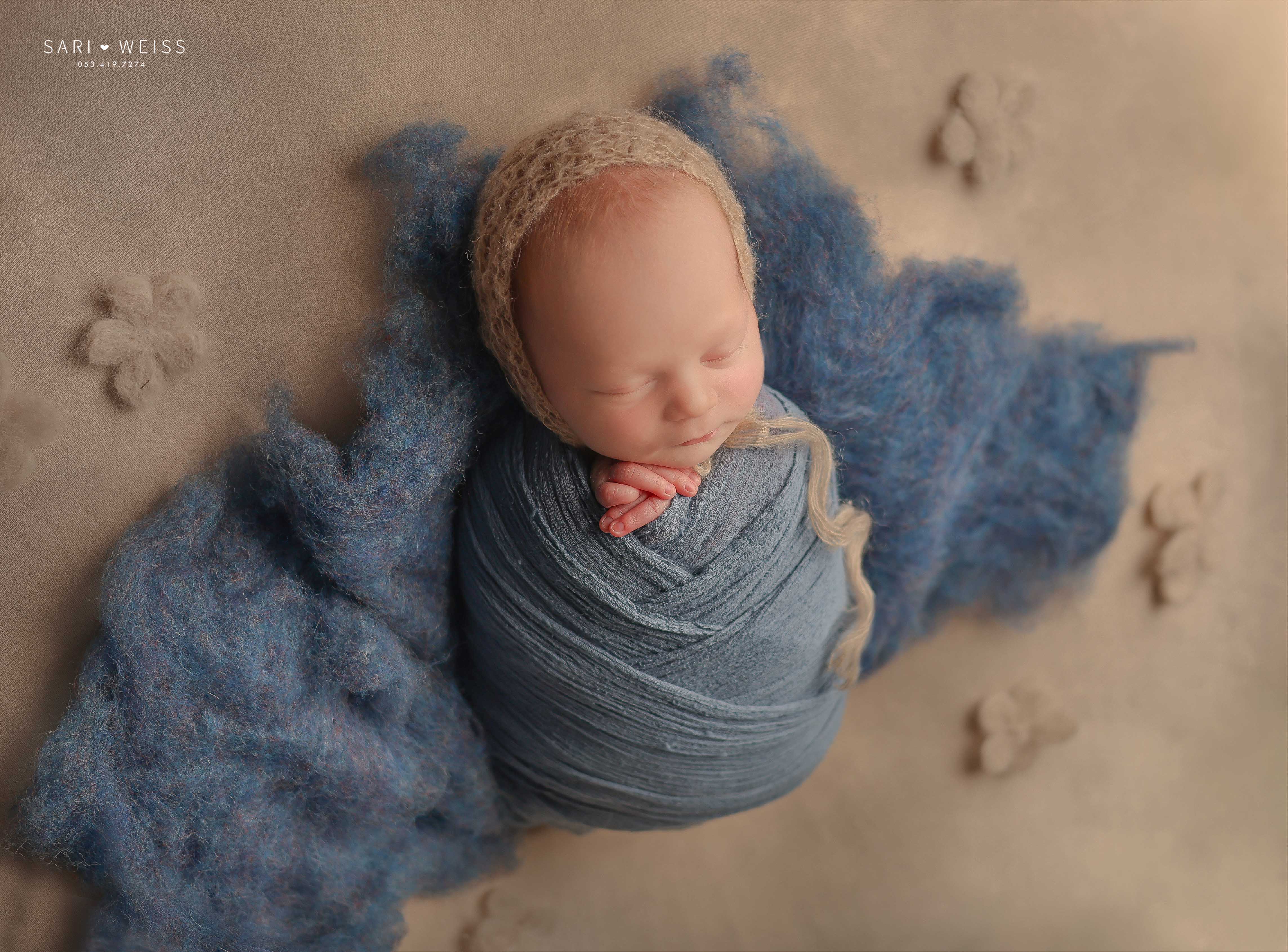 237A2786 copy 2 מוקטן.jpg