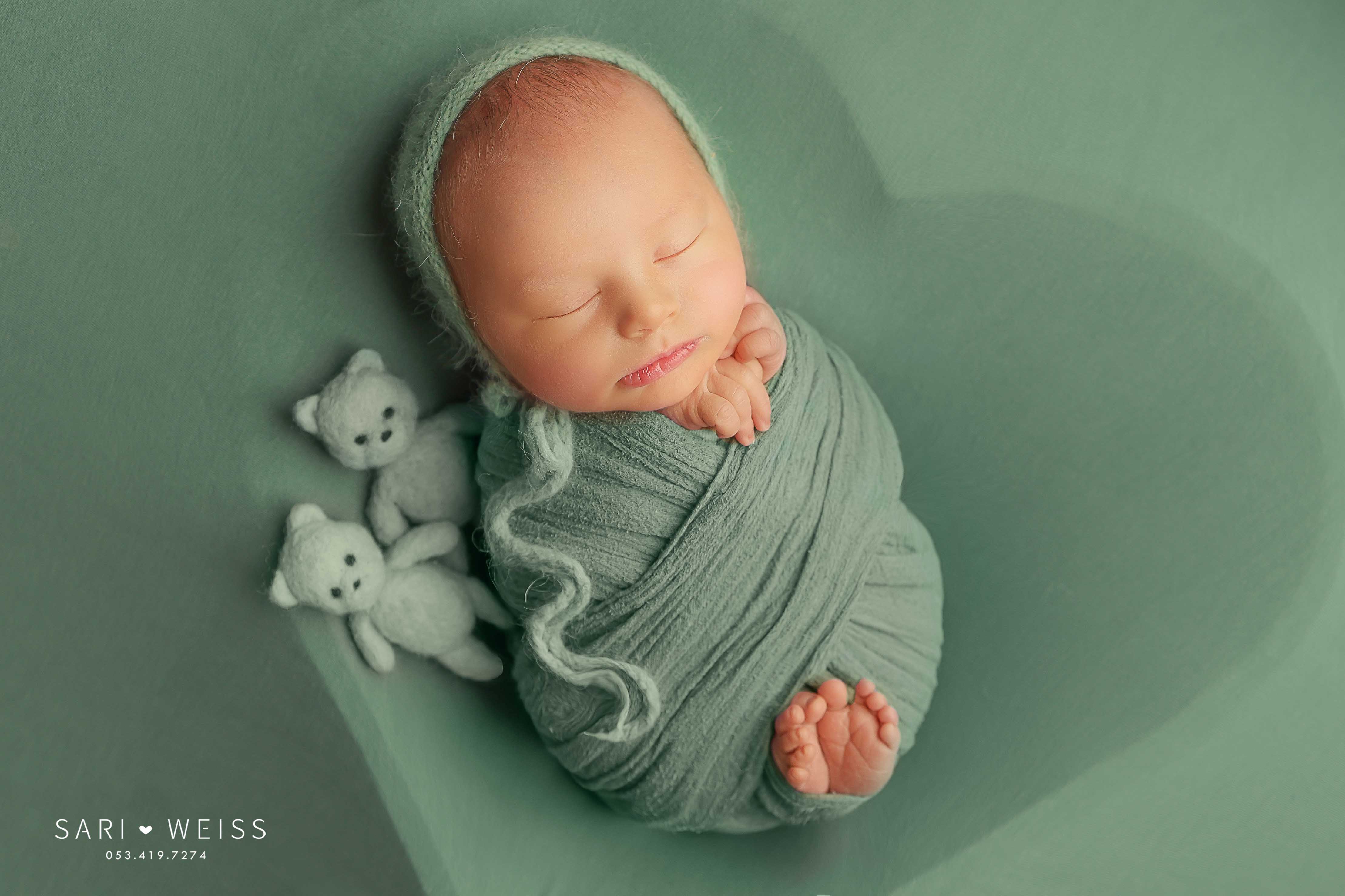 237A4132 copy מוקטן.jpg