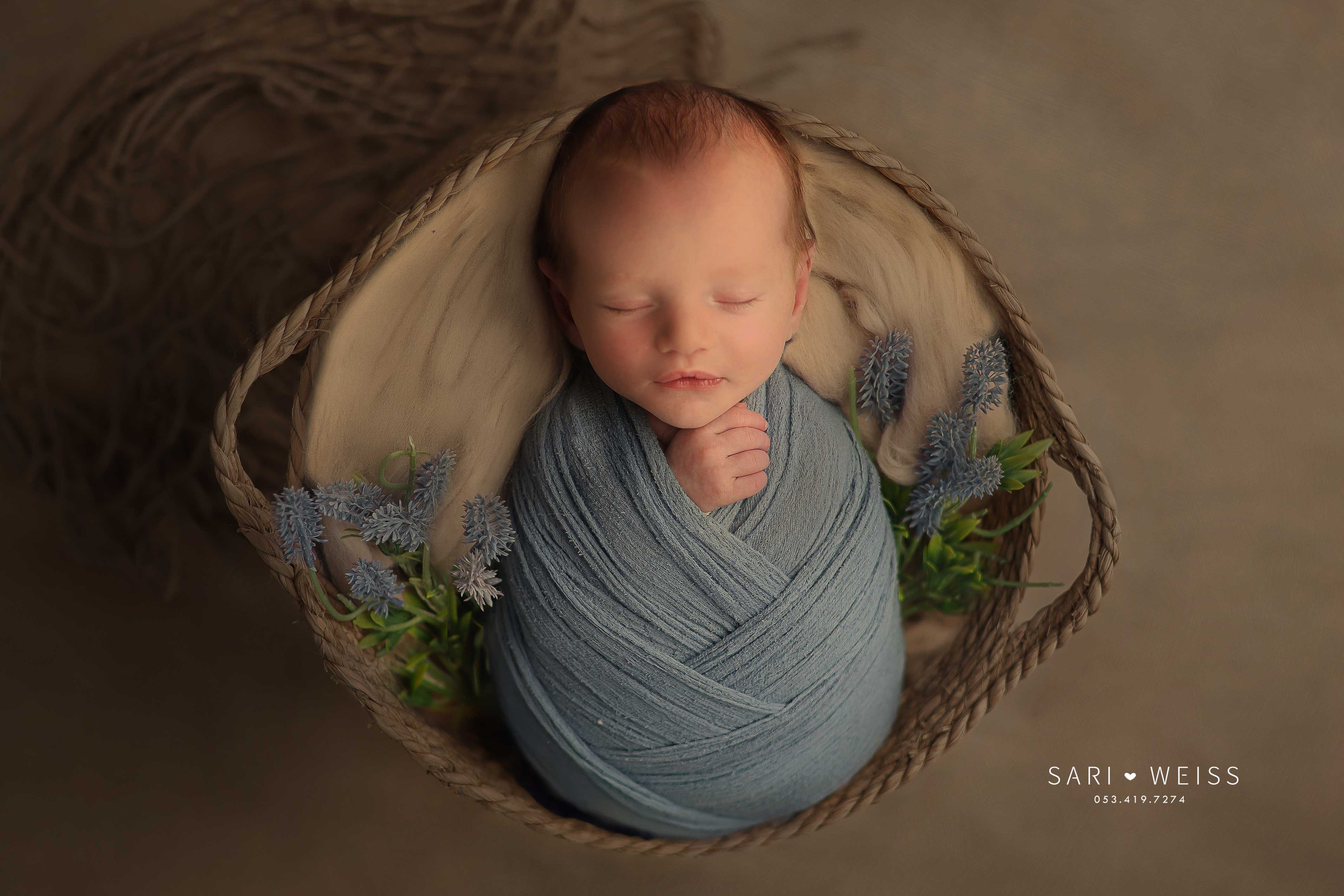 237A4381 copy מוקטן.jpg