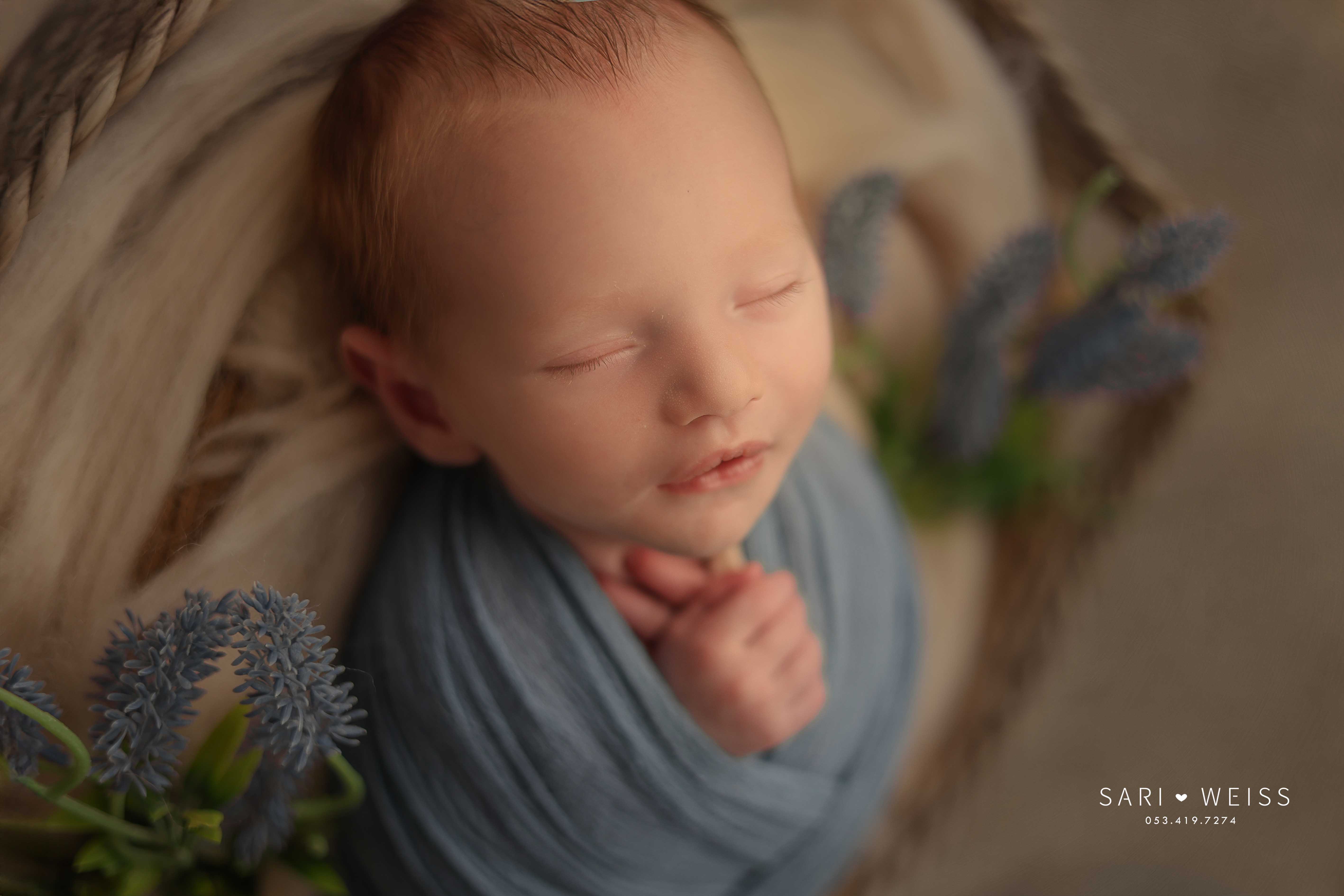 237A4399 copy מוקטן.jpg