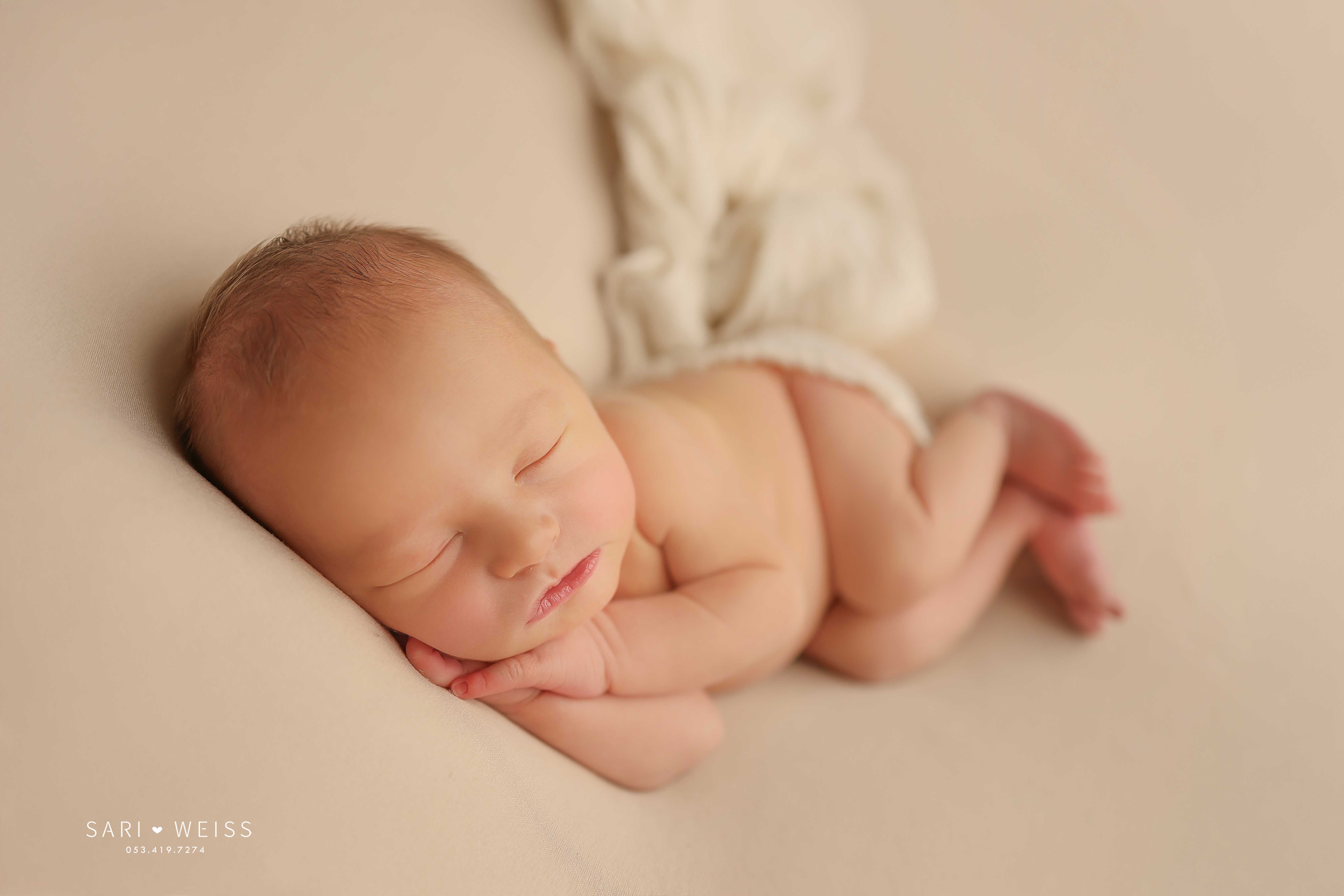 237A4577 copy מוקטן.jpg