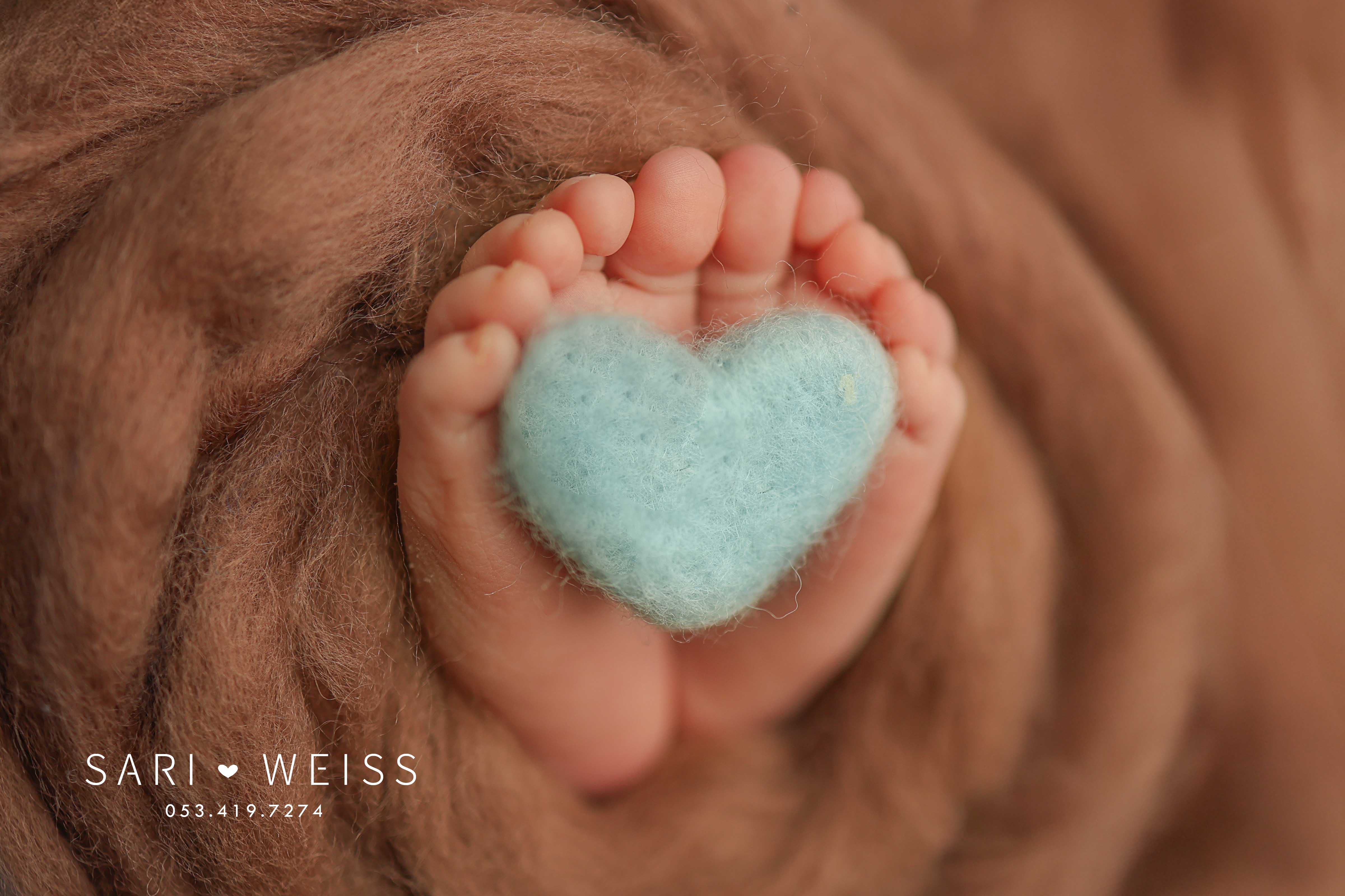 237A4633-Recovered copy מוקטן.jpg